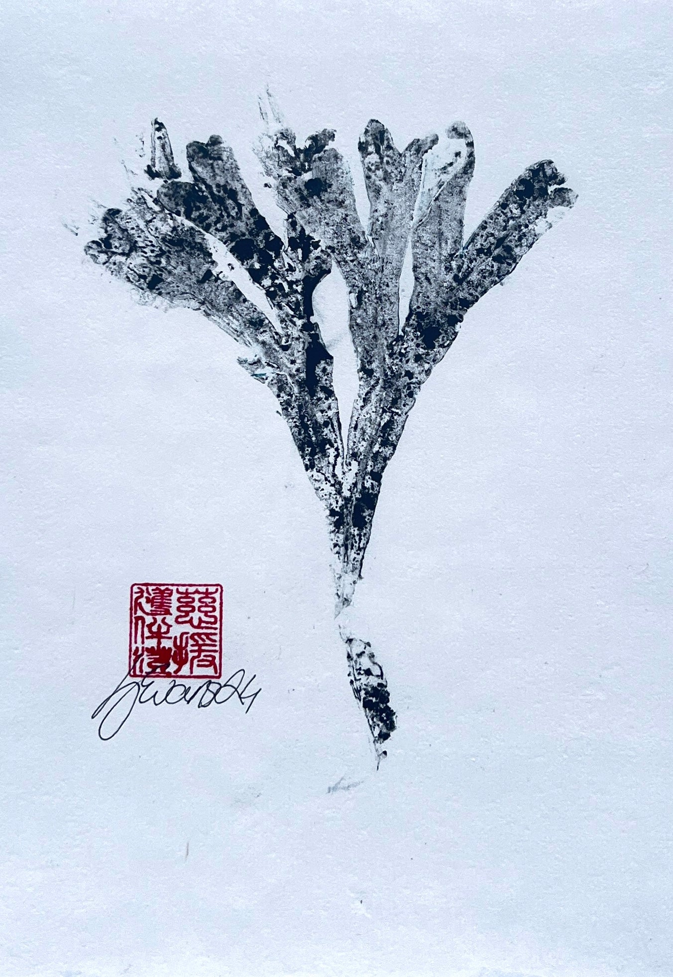 Seaweed Gyotaku in Sumi