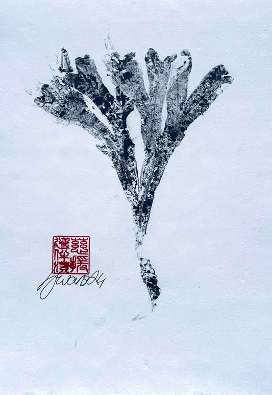 Seaweed Gyotaku in Sumi