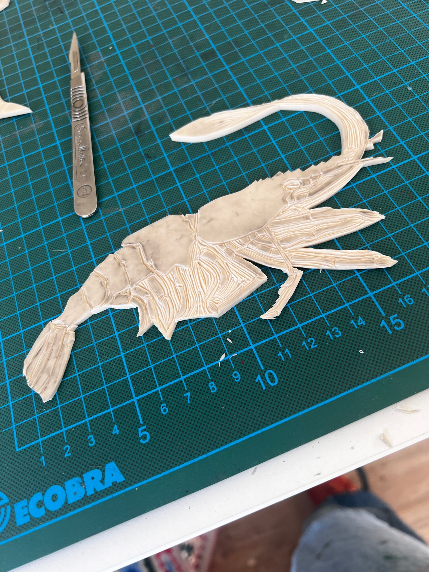 "Linotaku Prawn" – Lino Cut Print by Jane Evans, Anglesey Artist