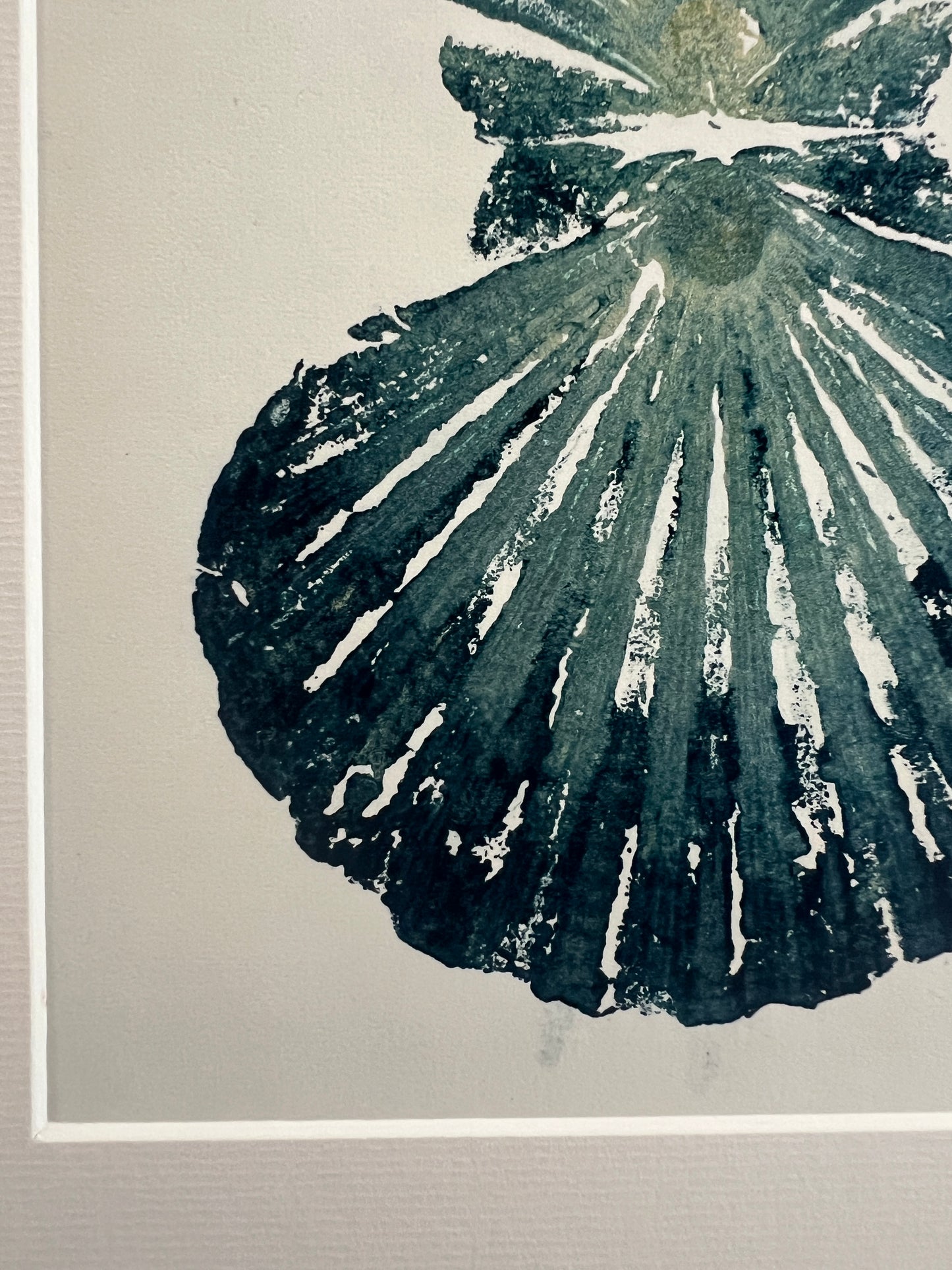 Scallop Shell Duo Gyotaku by Jane Evans