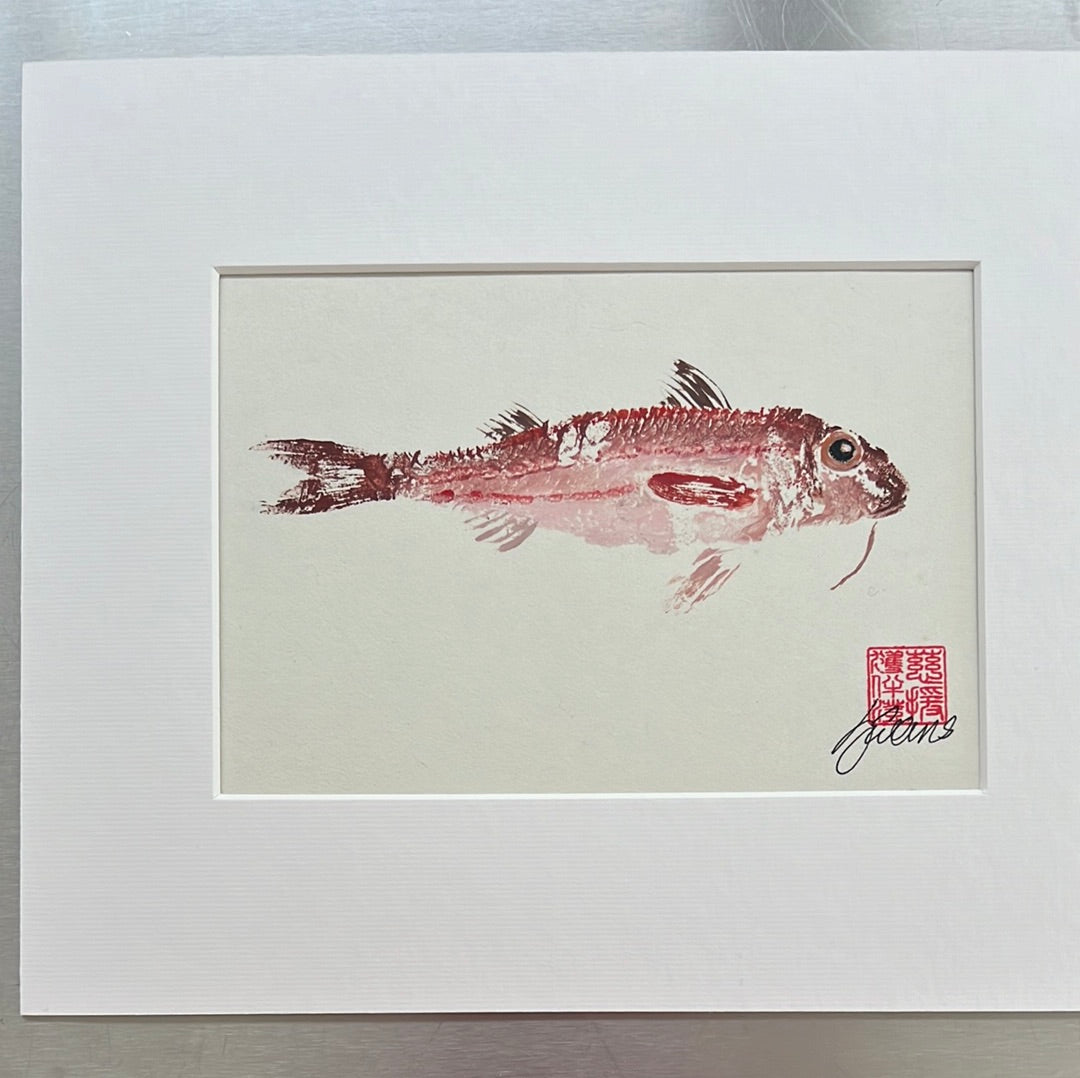 eh up Coch, Gyotaku of a small Red Mullet from the waters of North Wales