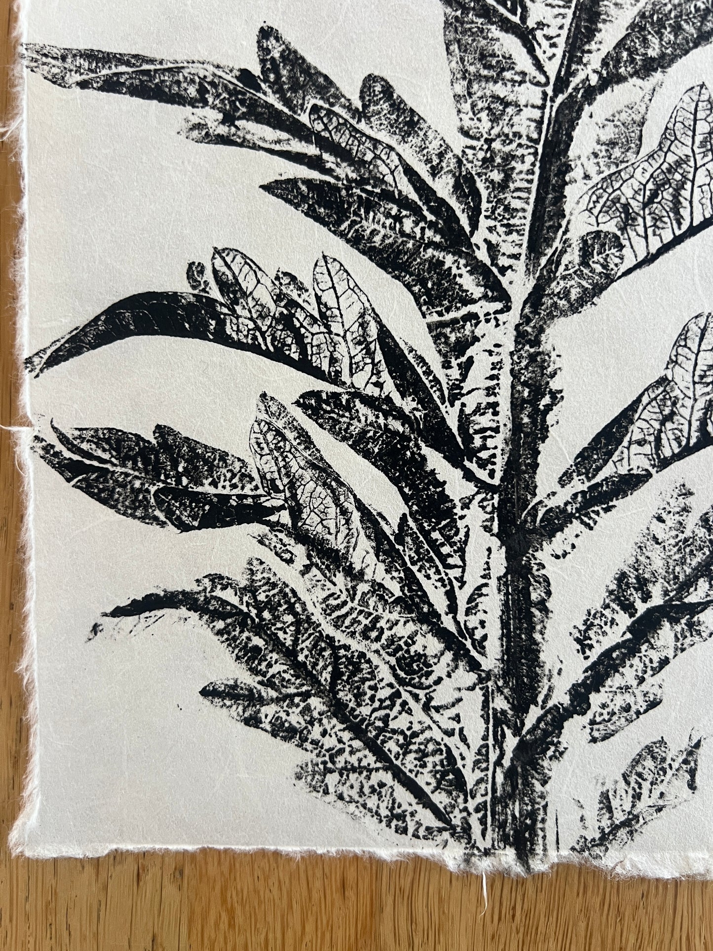 Artichoke Leaf Mini Print – Black Ink on Thai Mulberry Paper