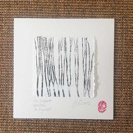 Sea Spaghetti