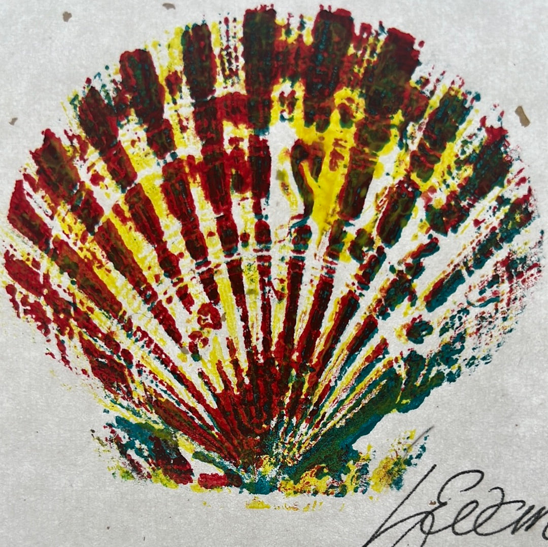 Small Scallop Shell Gyotaku