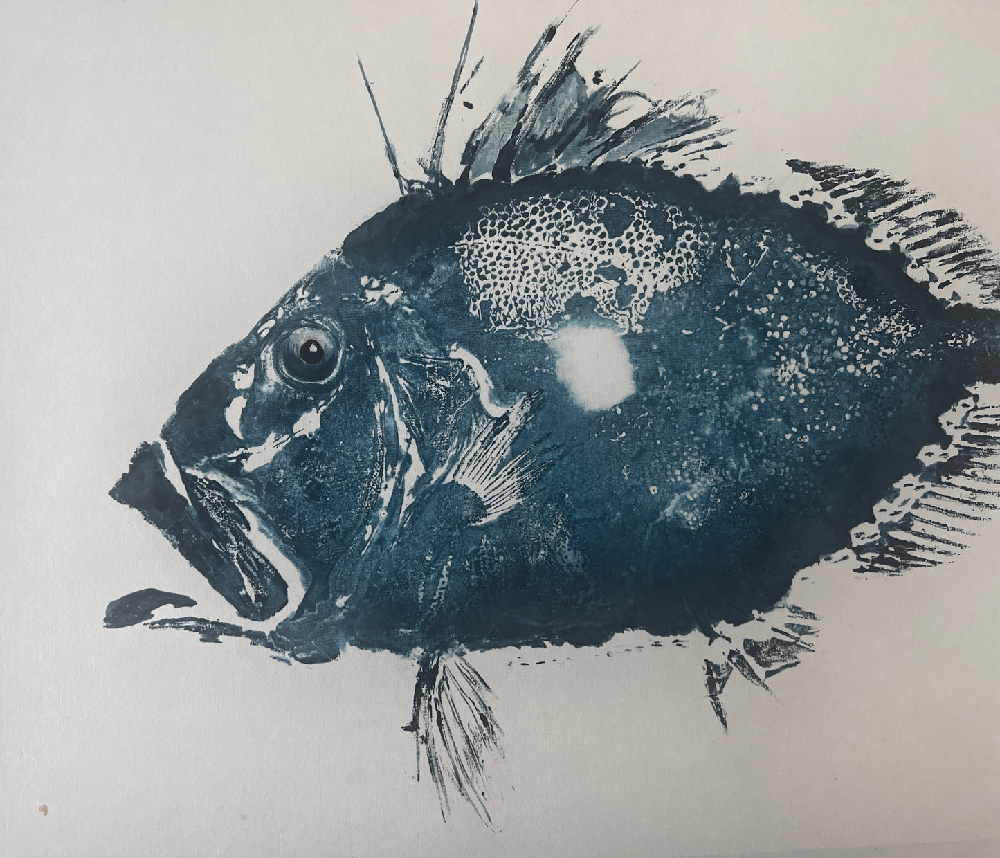 Gyotaku of John Dory