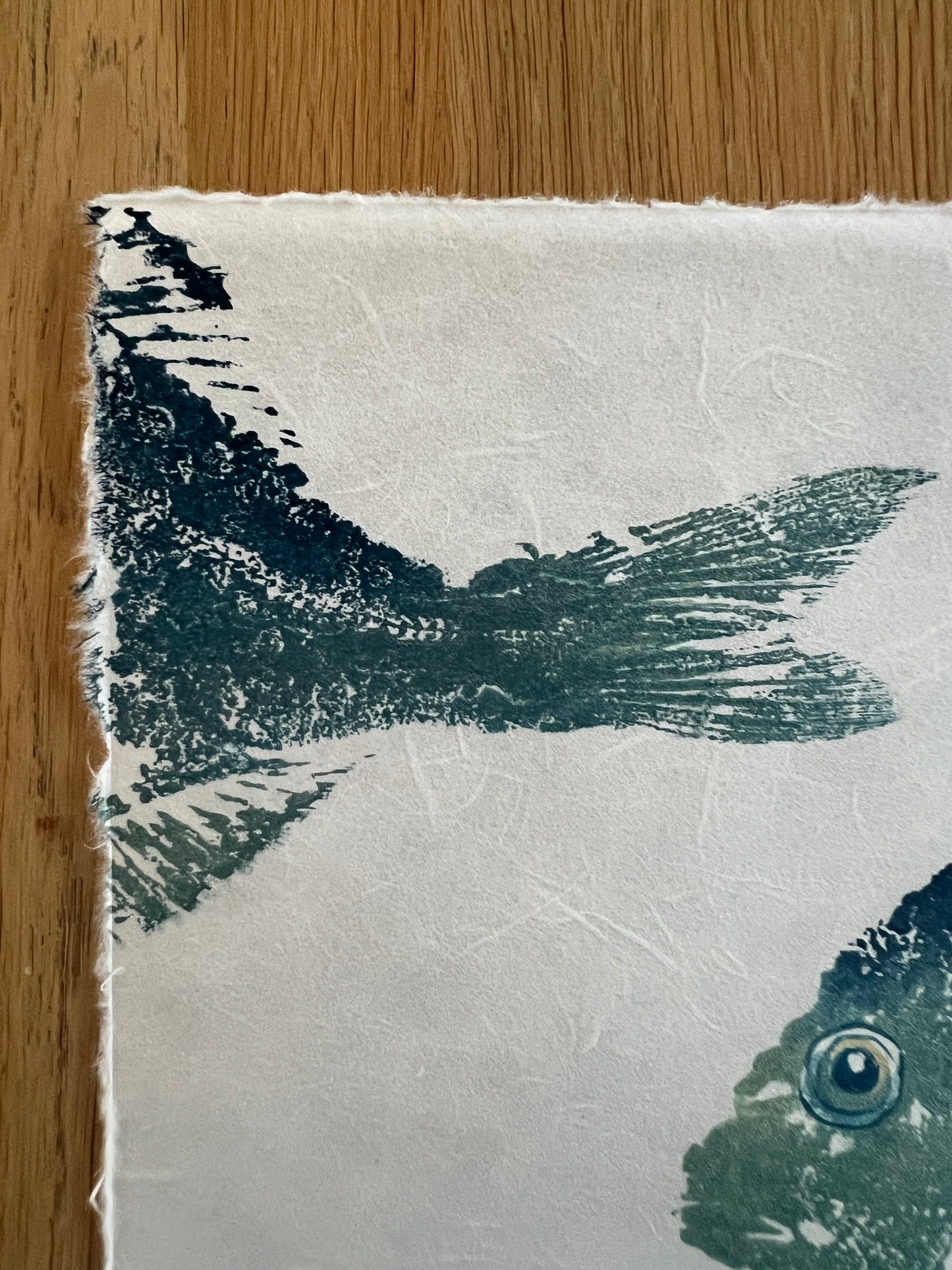 10 x 10 Inch Sea Bream Print – Blue &amp; Gold Gyotaku-Inspired Marine Art