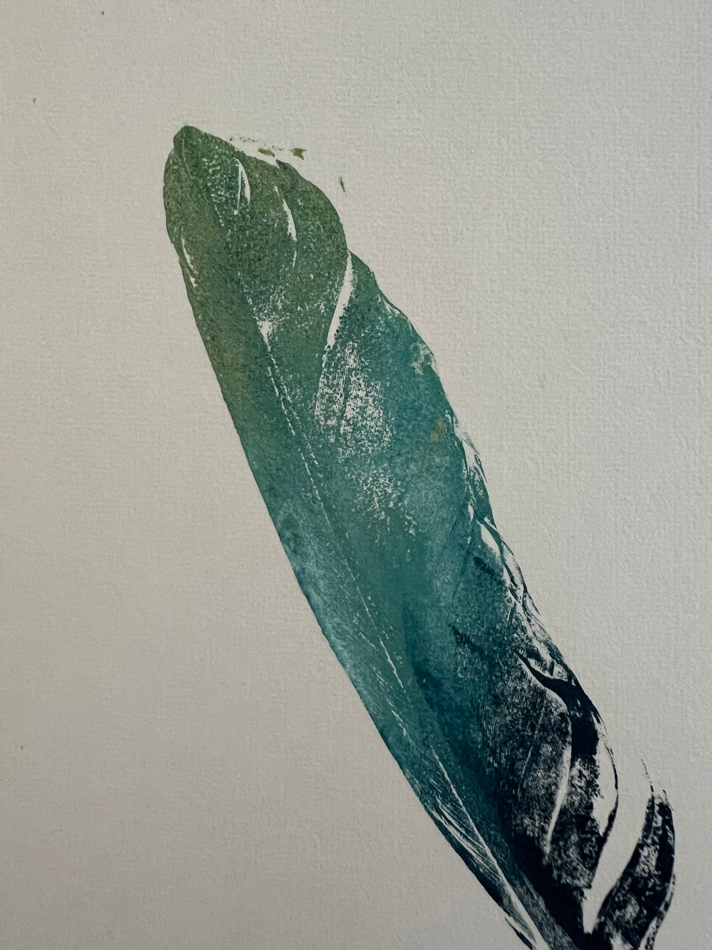 A4 Feather Gyotaku Blue and Gold Framed