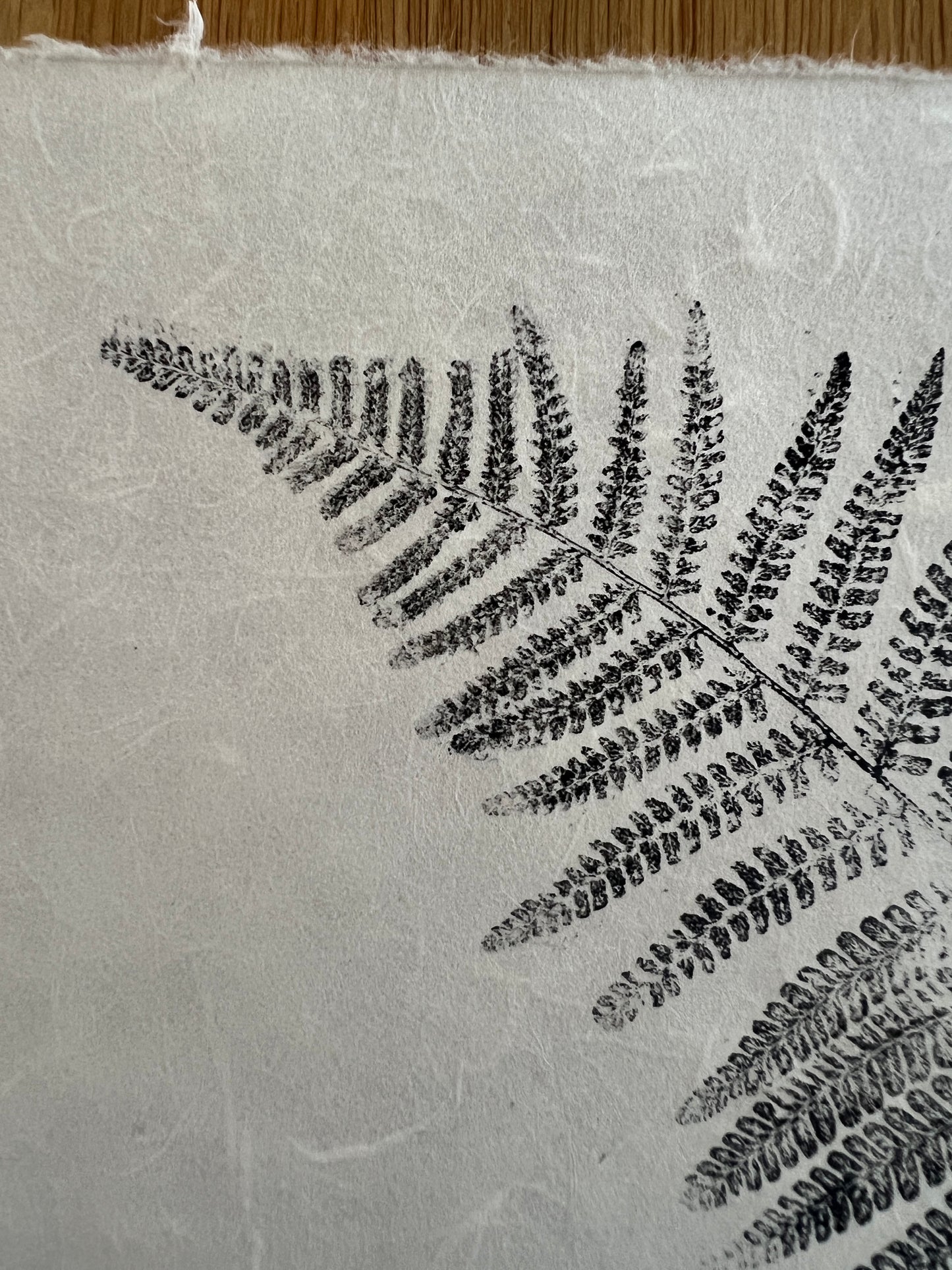 Fern Mini Print – Black Ink on Thai Mulberry Paper