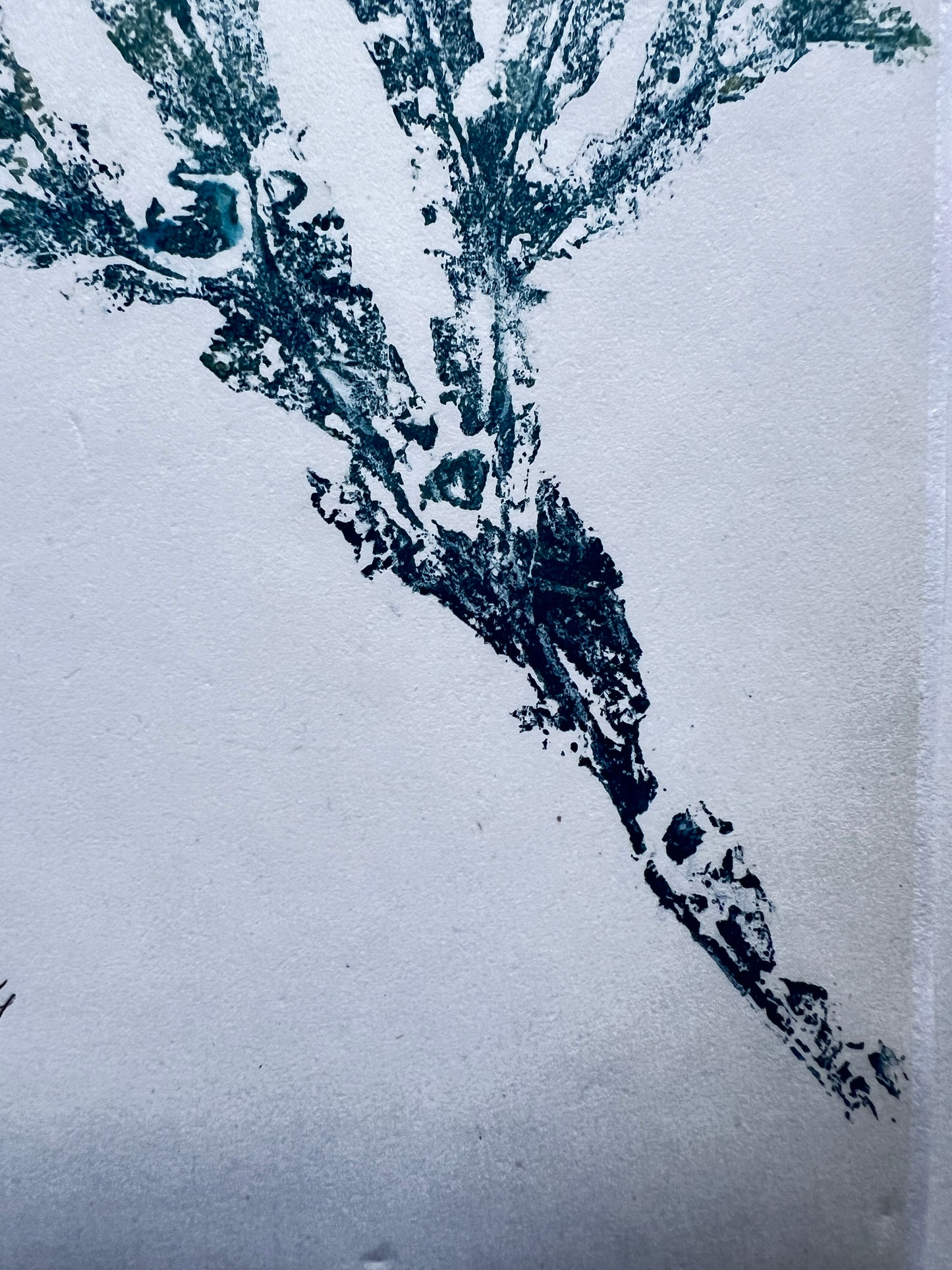Seaweed Gyotaku in Blue and Gold Ink Portrait