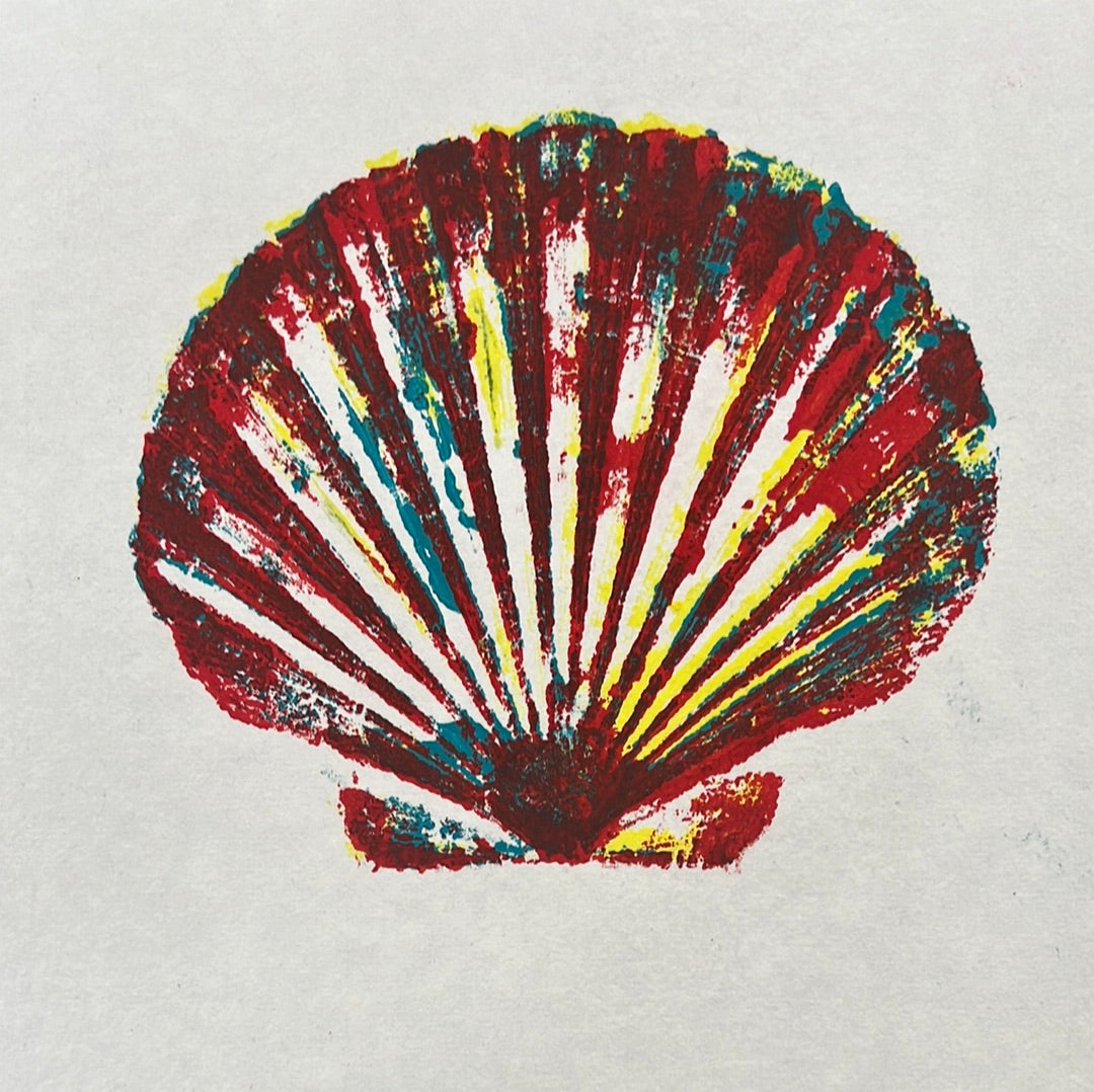 Large Scallop Shell Gyotaku with Multicoloured Layers