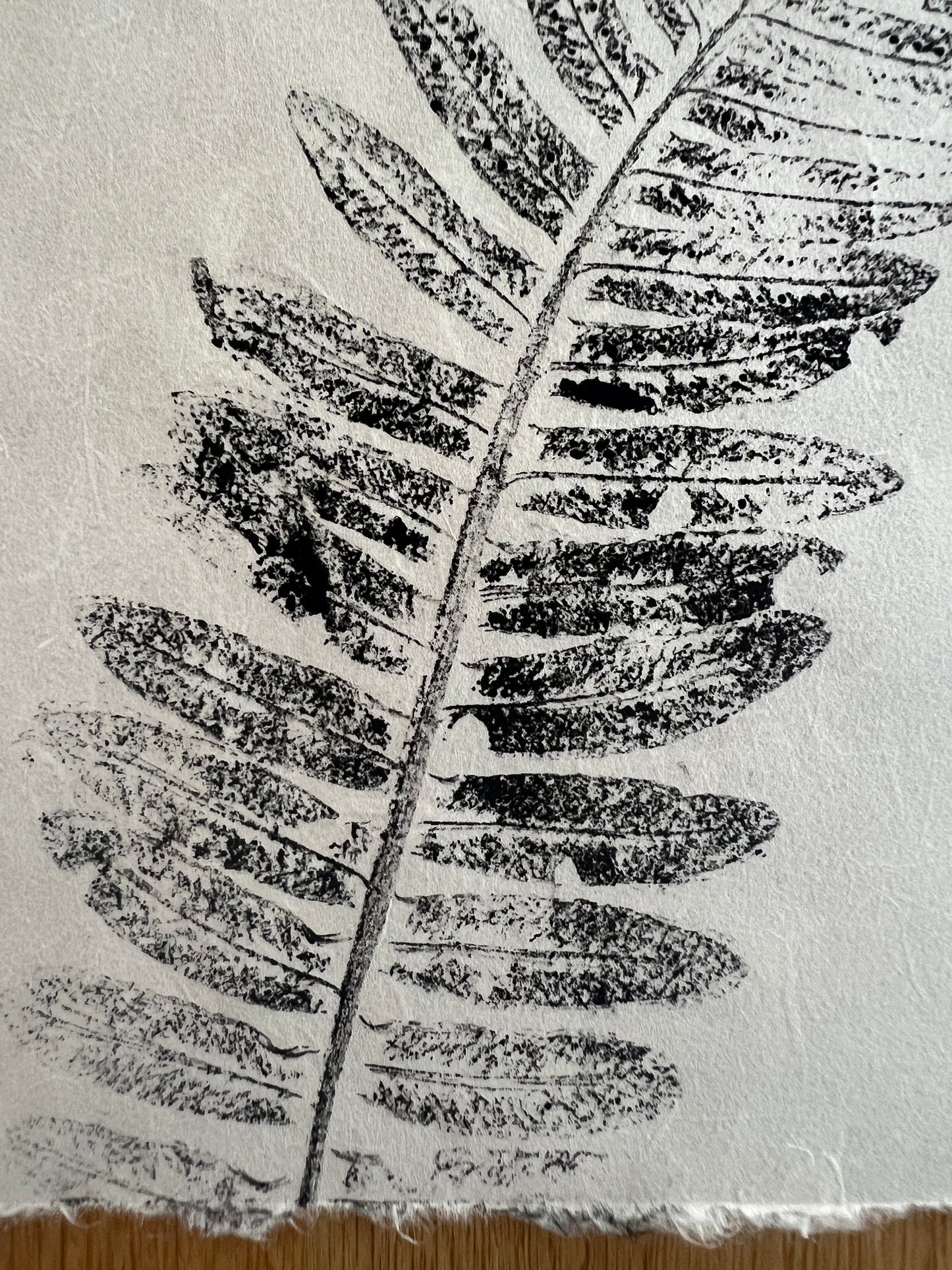 Fern Mini Print – Black Ink on Thai Mulberry Paper