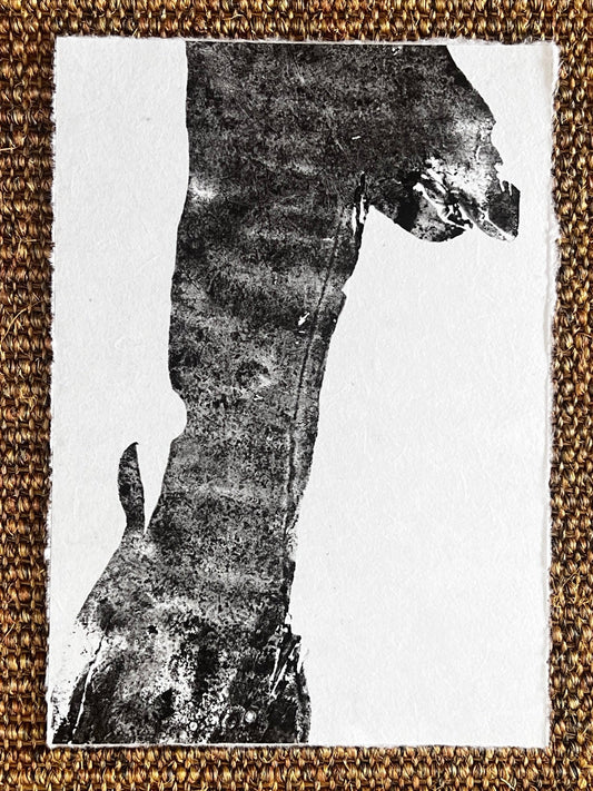 Kelp Gyotaku
