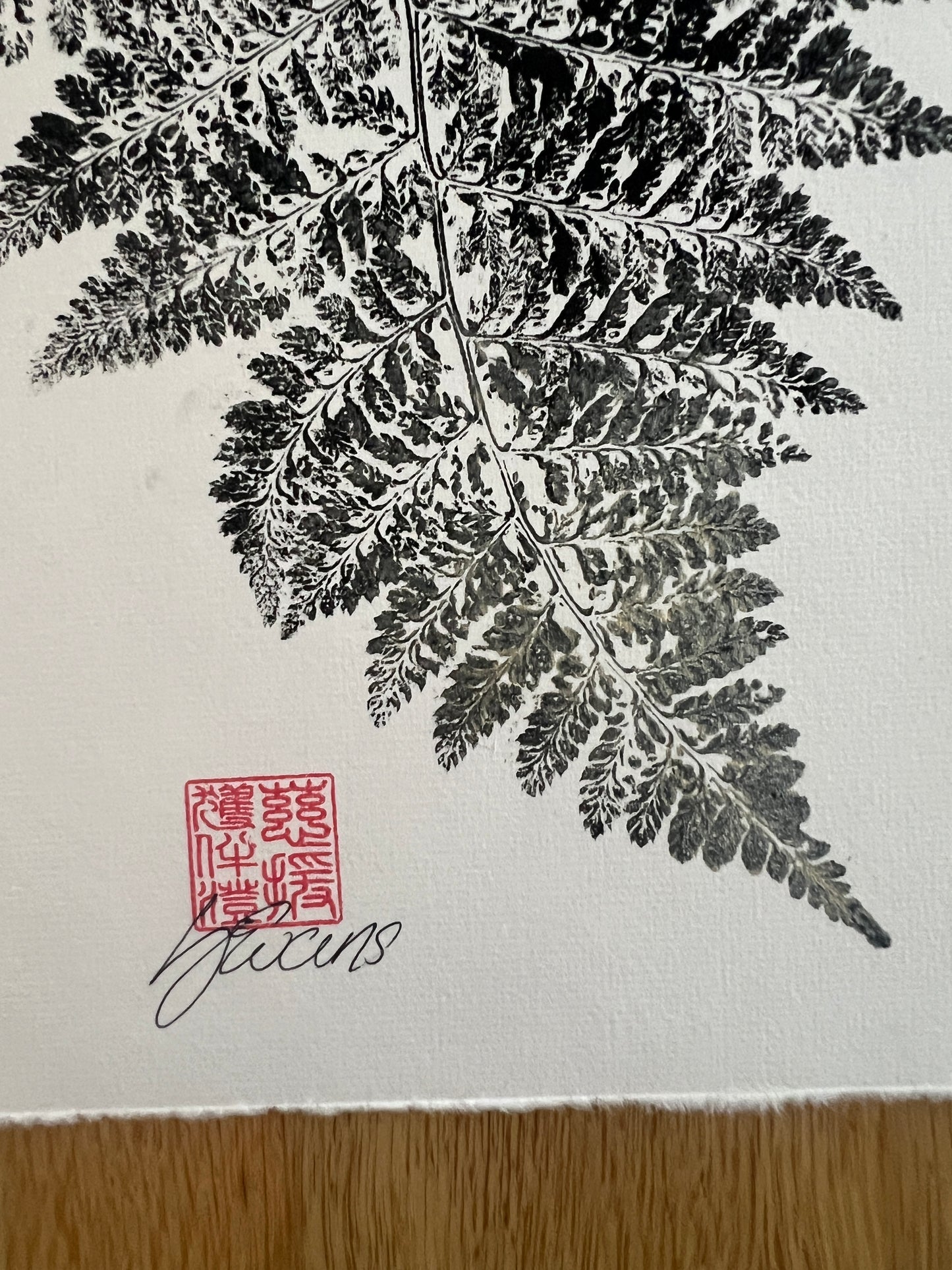 A5 Fern Frond Print – Gyotaku-Inspired Botanical Wall Art