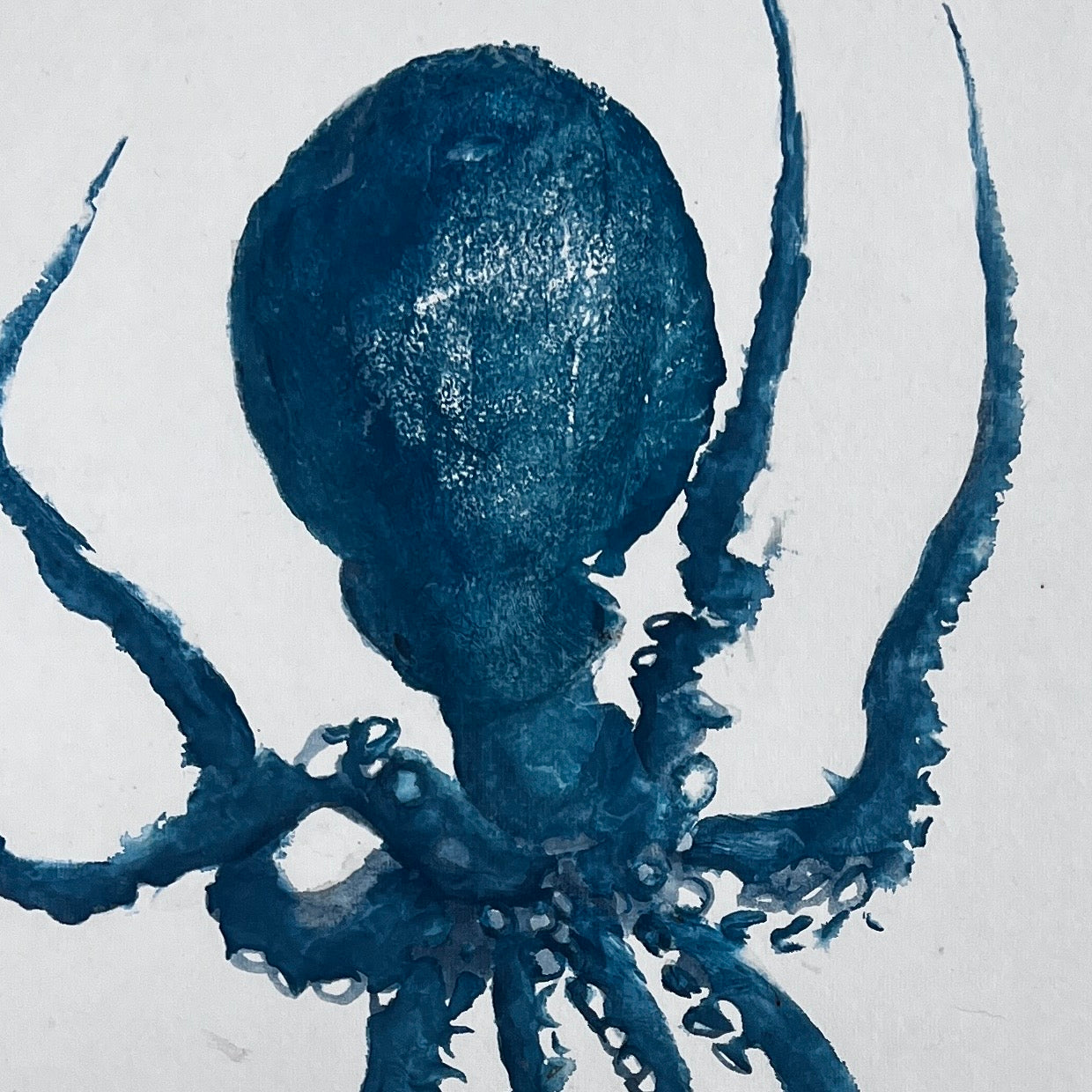 Gyotaku impression from the surface of an Octopus in blue