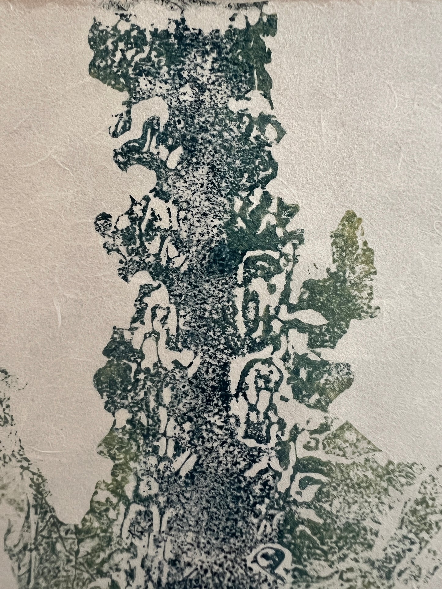 Framed Sugar Kelp Mini Print – Blue & Gold on Thai Mulberry Paper (Copy)