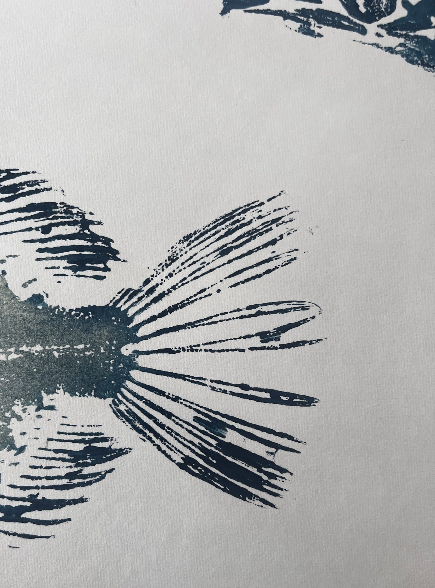 A3 Gyotaku of John Dory