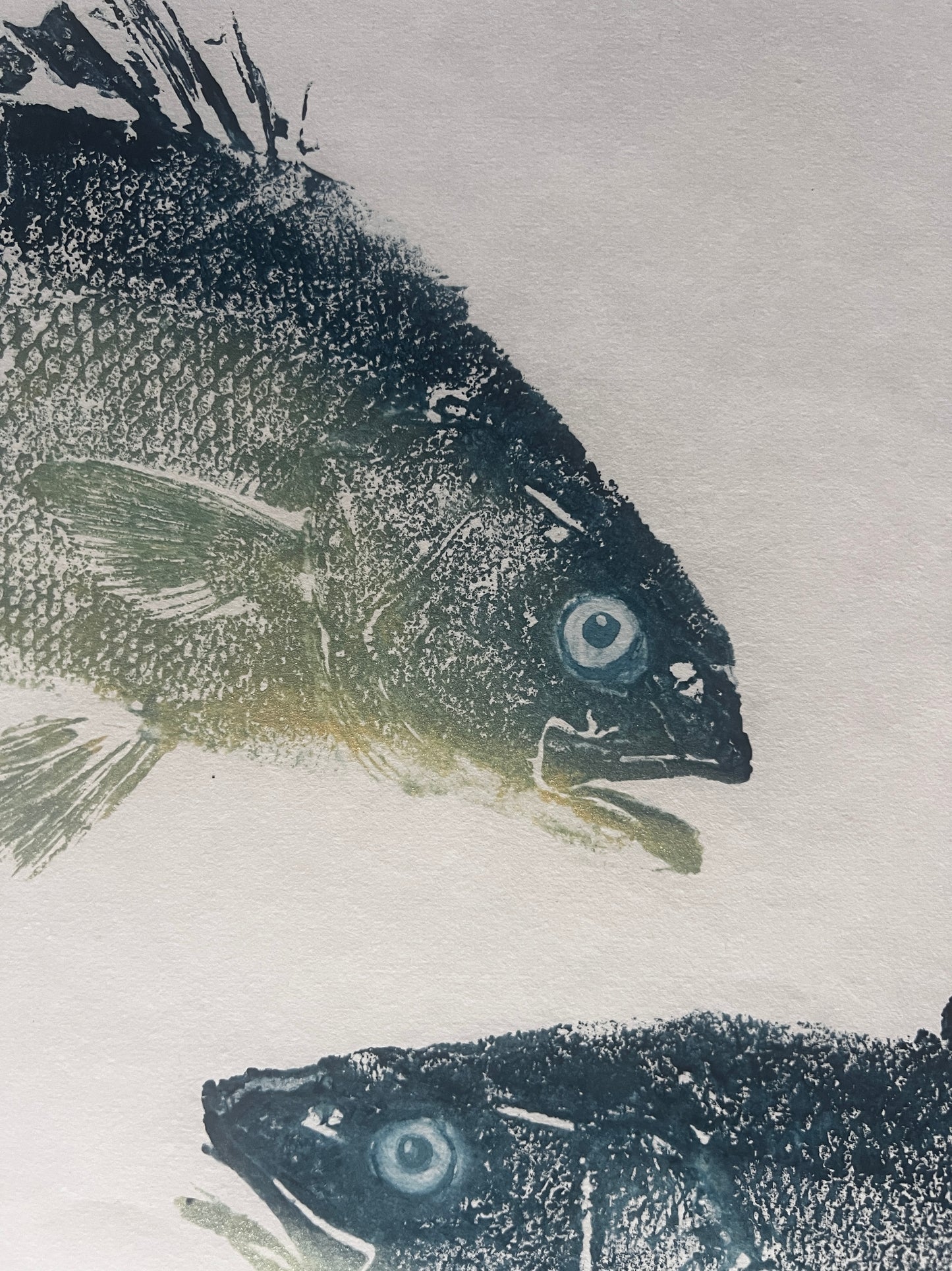 Anglesey Sea Bass Duo Gyotaku