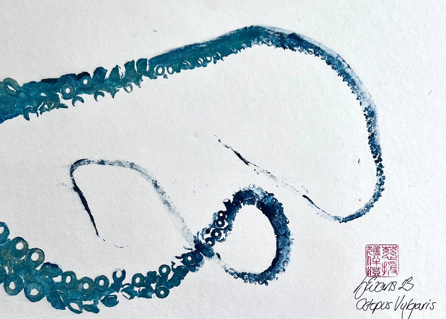 Gyotaku Impression taken from Octopus Vulgaris Tentacles