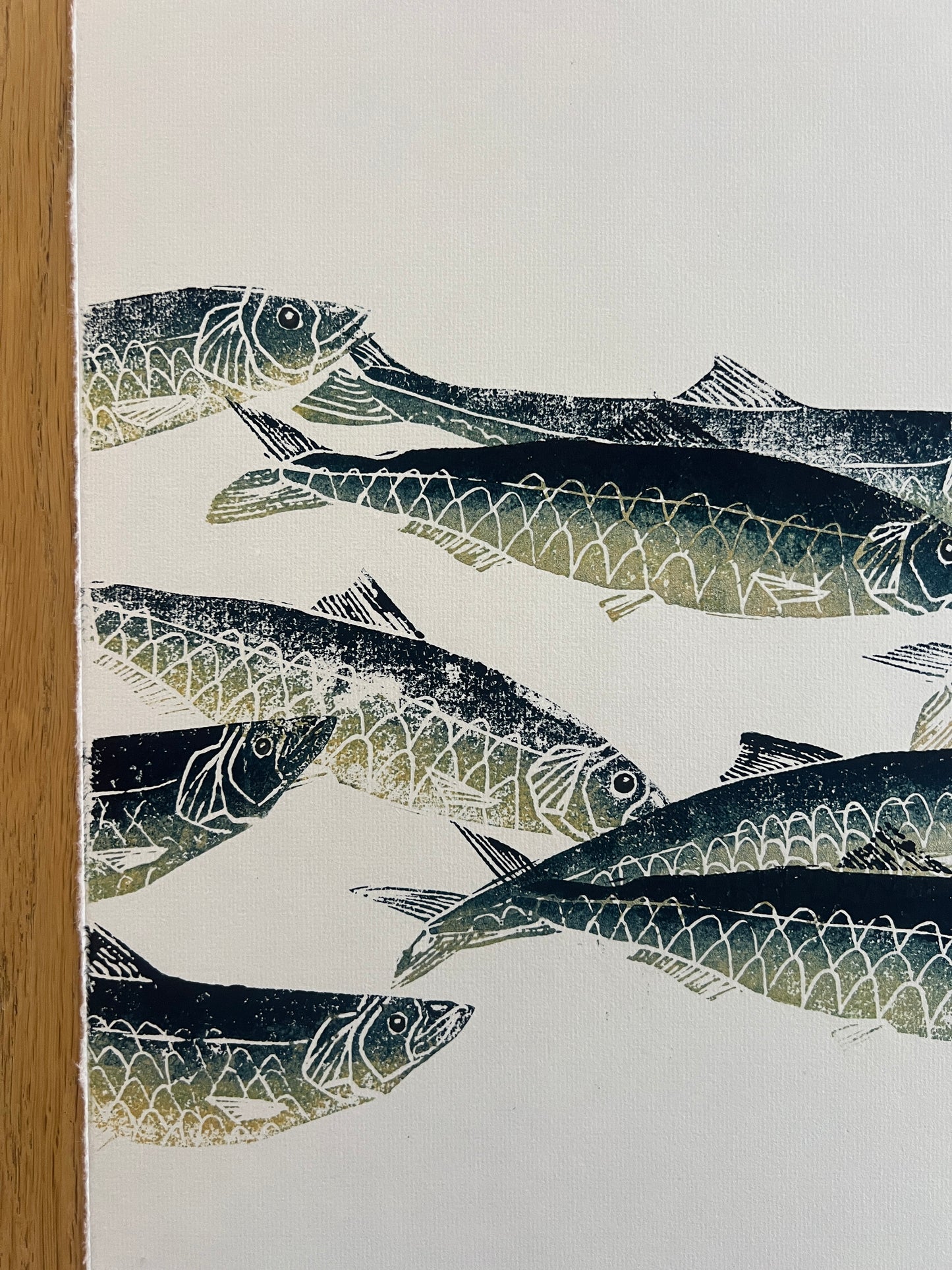 A3 Sardines Print – Hand-Carved Linotaku