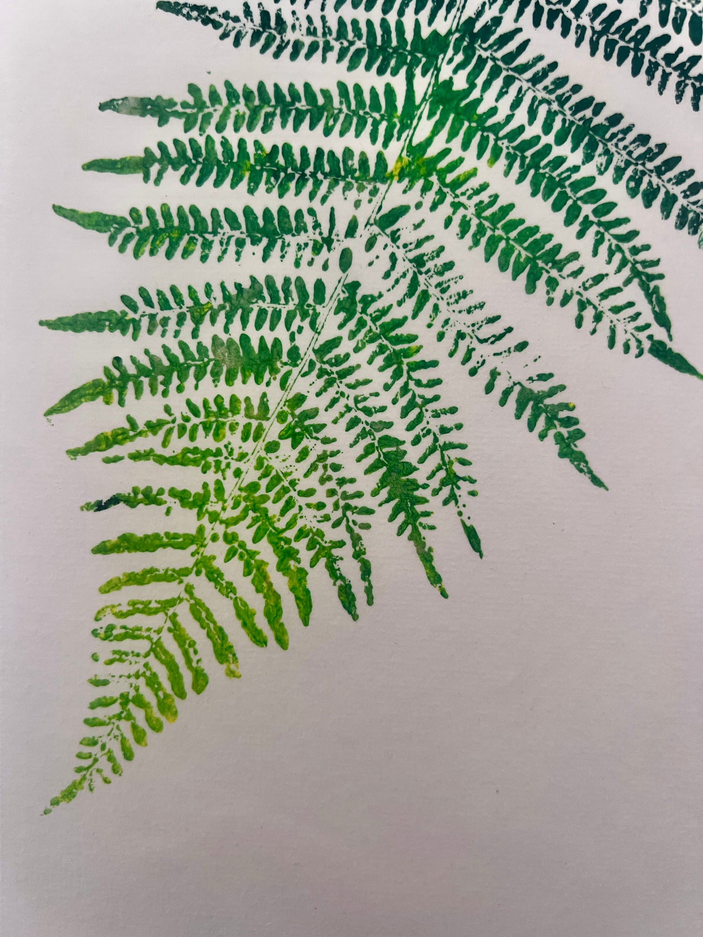 Gyotaku of a Fern Frond