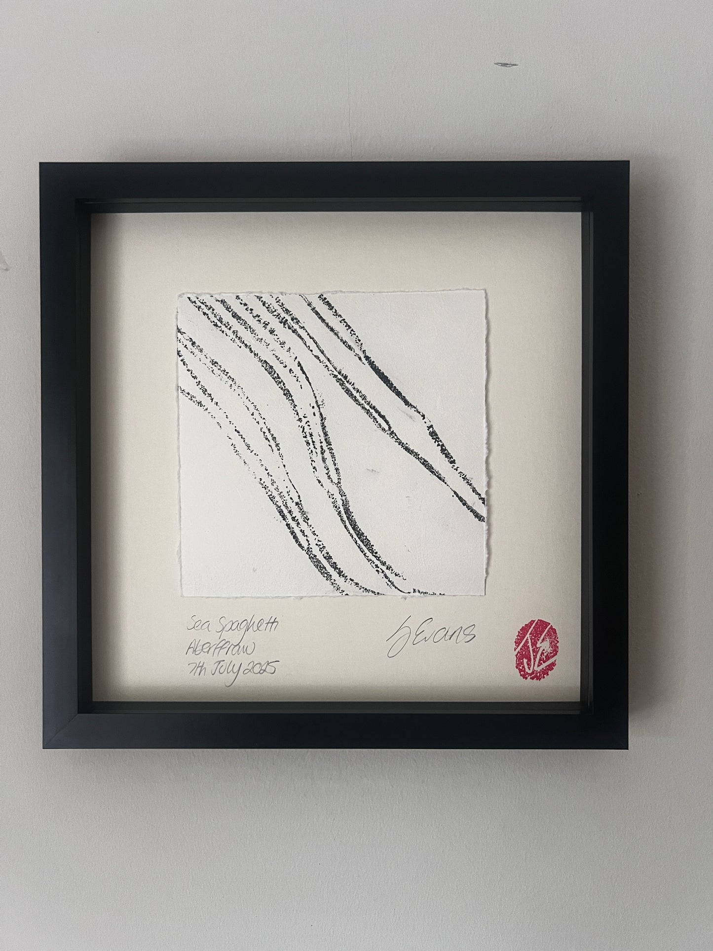 Sea Spaghetti