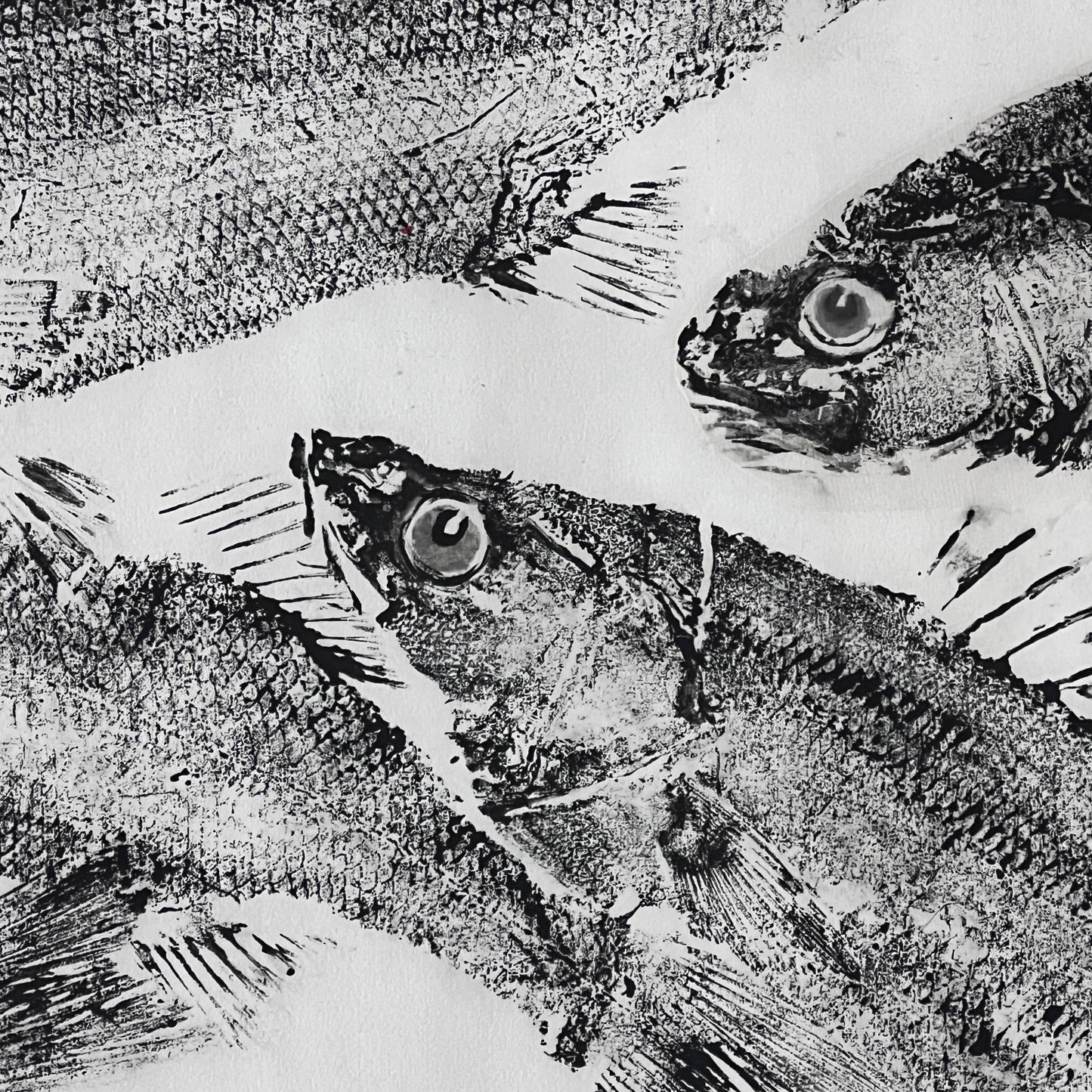 FRAMED TRIPTYCH GYOTAKU OF SEA BASS