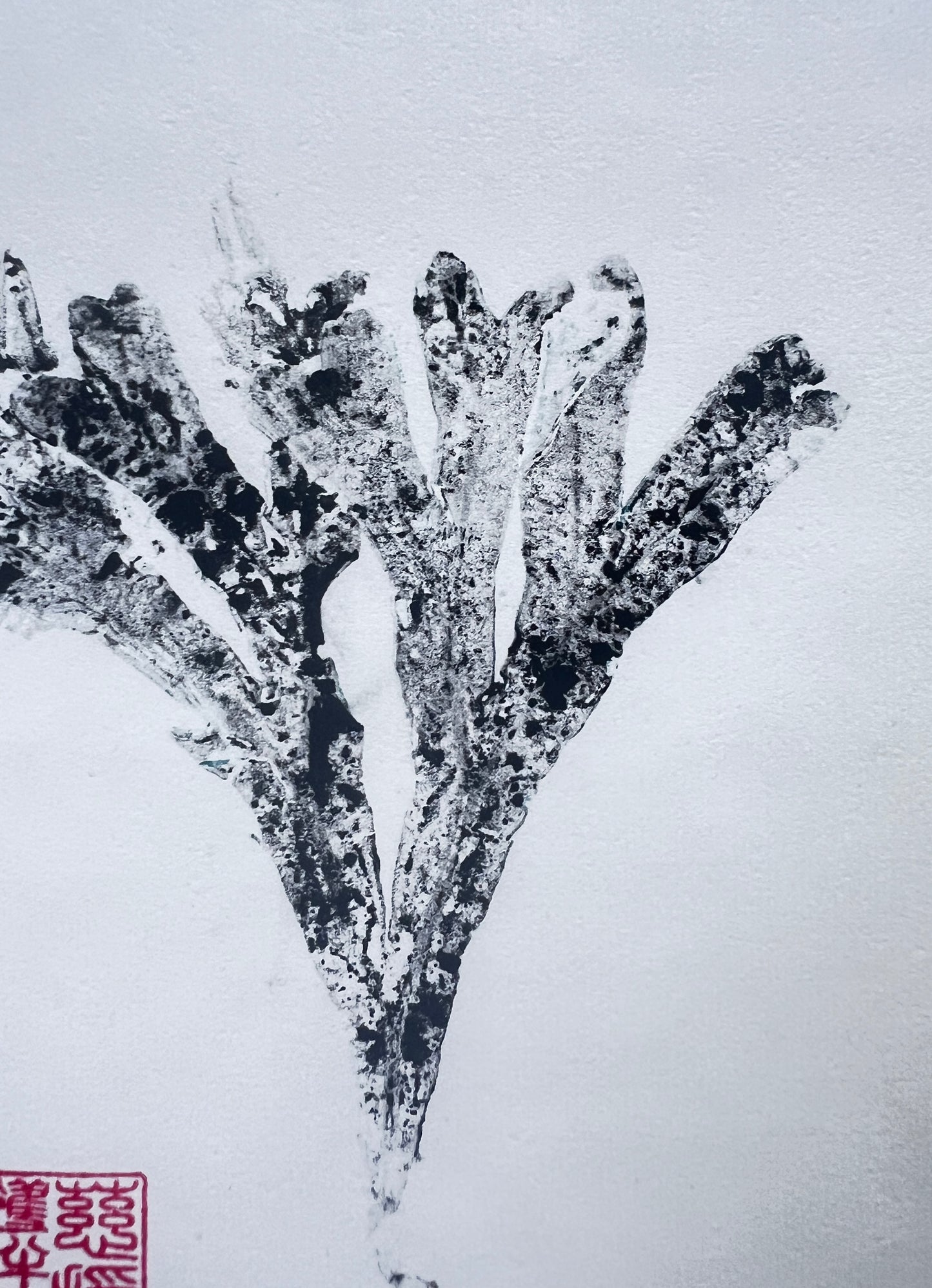 Seaweed Gyotaku in Sumi