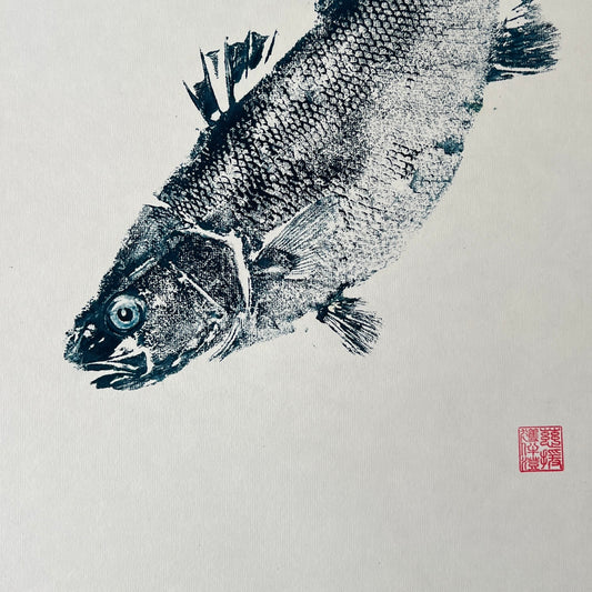 Menai Strait Line Caught Sea Bass Gyotaku.