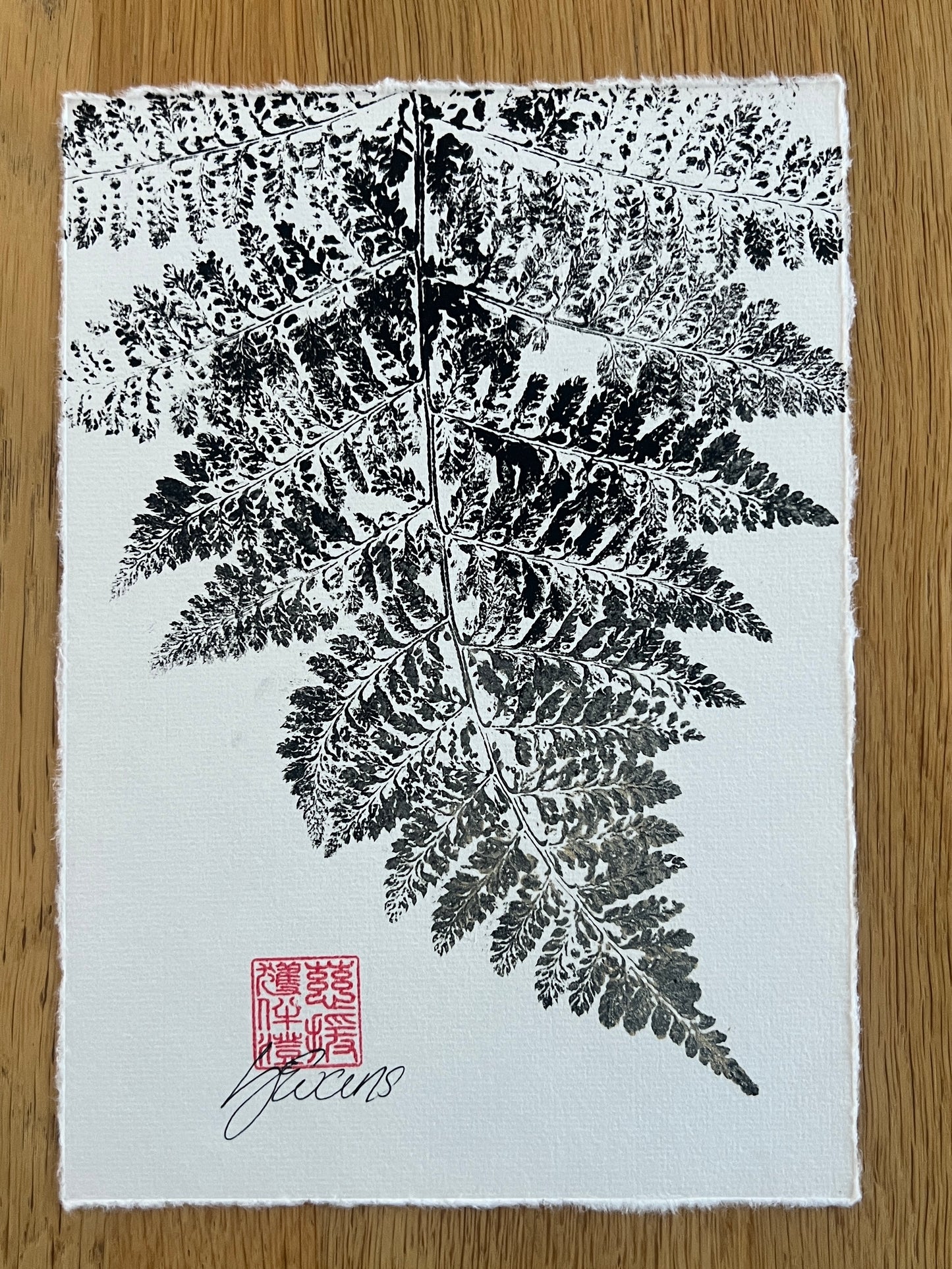 A5 Fern Frond Print – Gyotaku-Inspired Botanical Wall Art