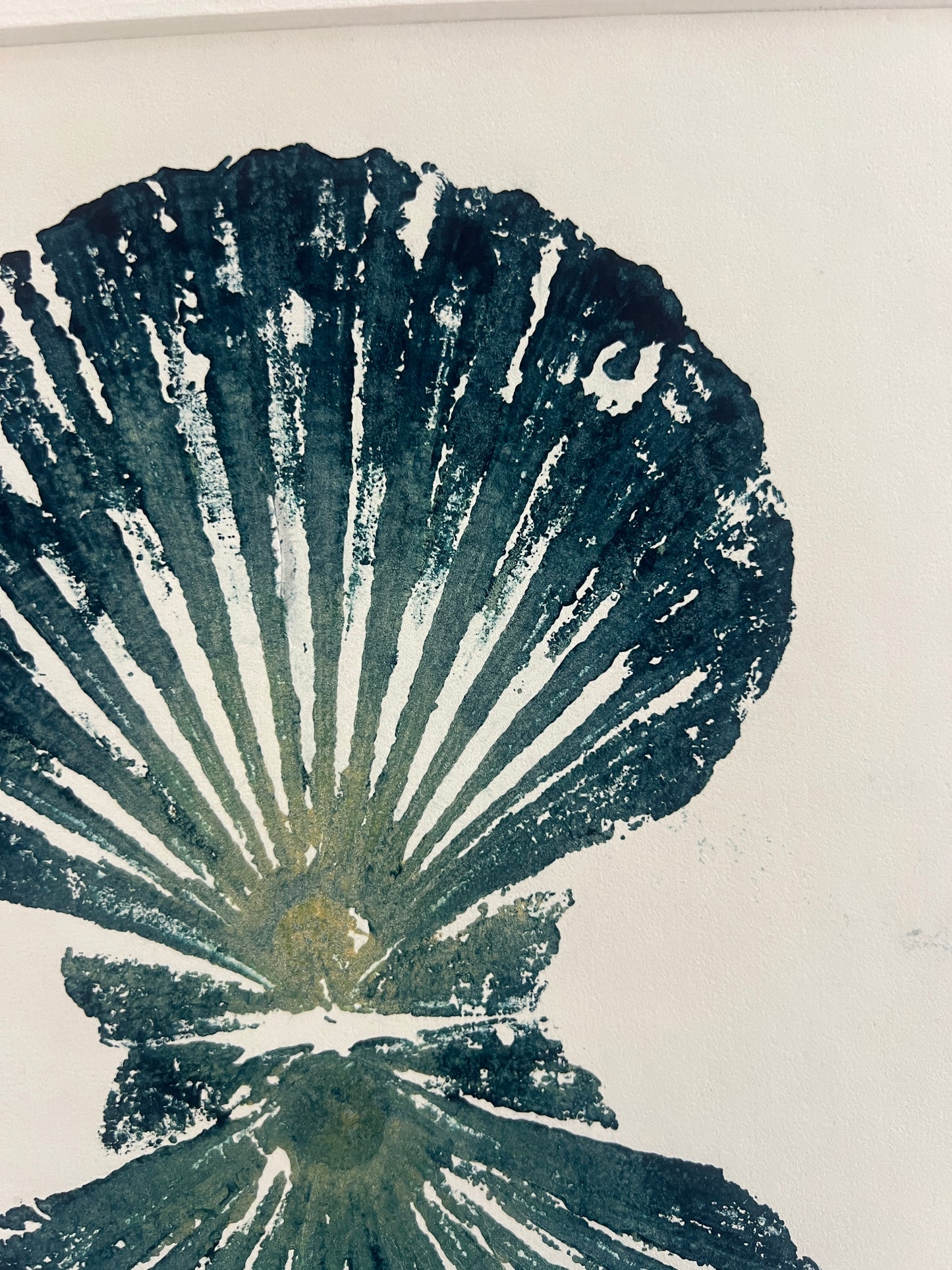 Scallop Shell Duo Gyotaku by Jane Evans