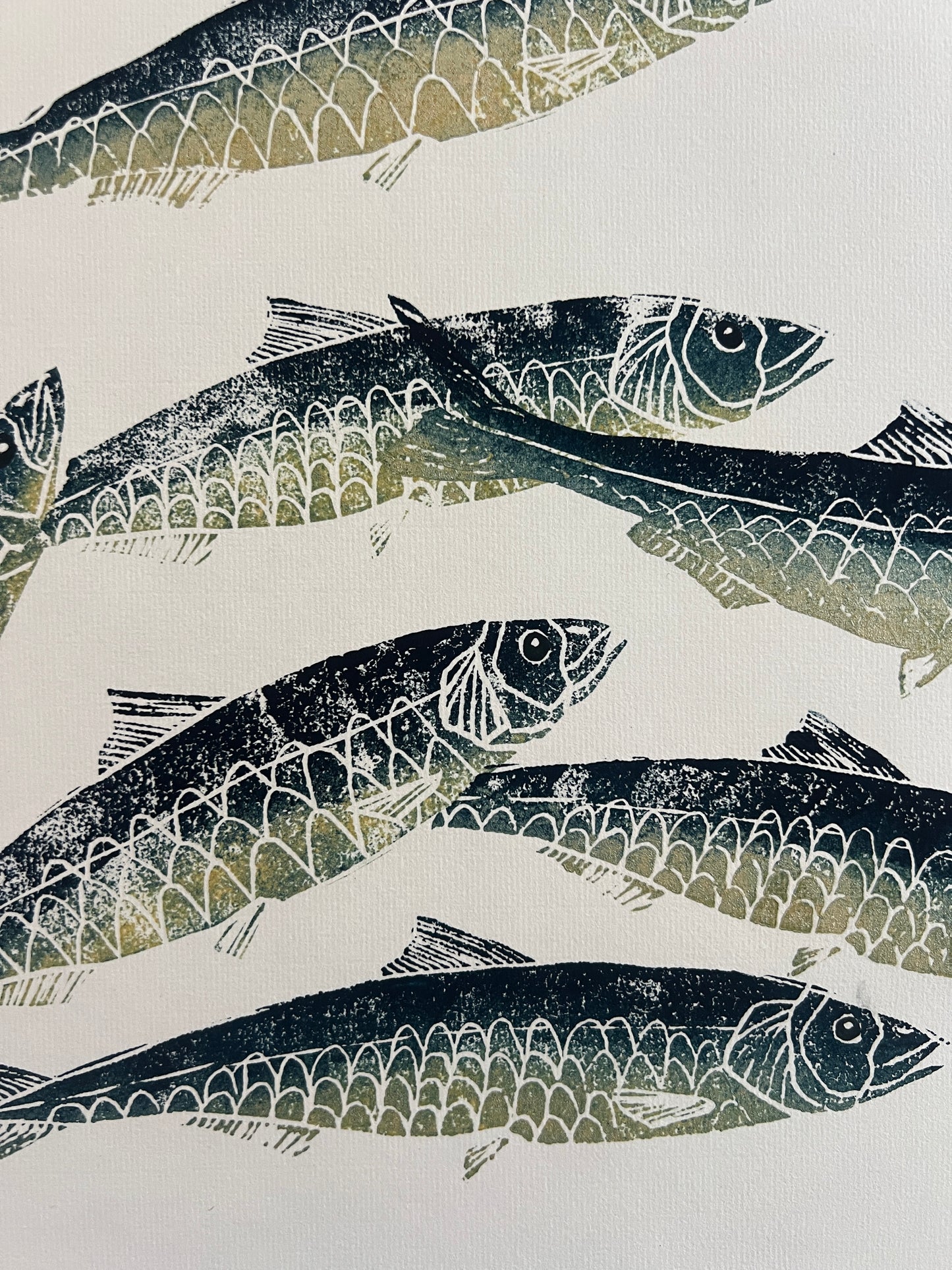 A3 Sardines Print – Hand-Carved Linotaku
