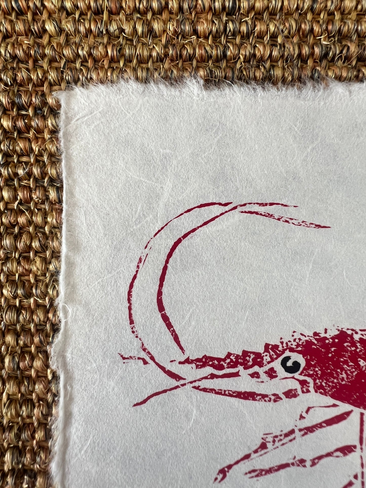 6 x 6 Inch Prawn Print – Linotaku Mini Marine Wall Art