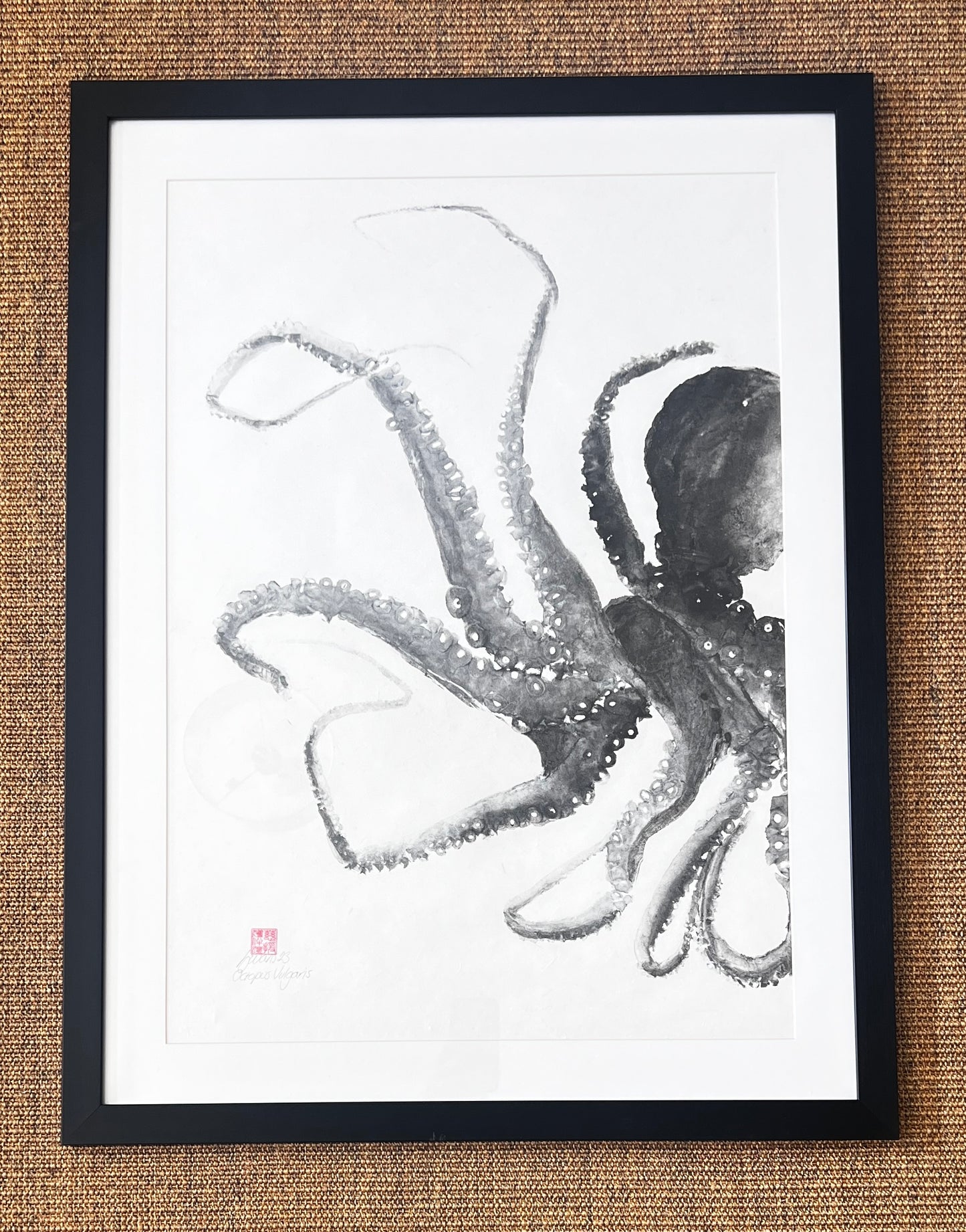Framed Gyotaku print of Octopus Vulgris