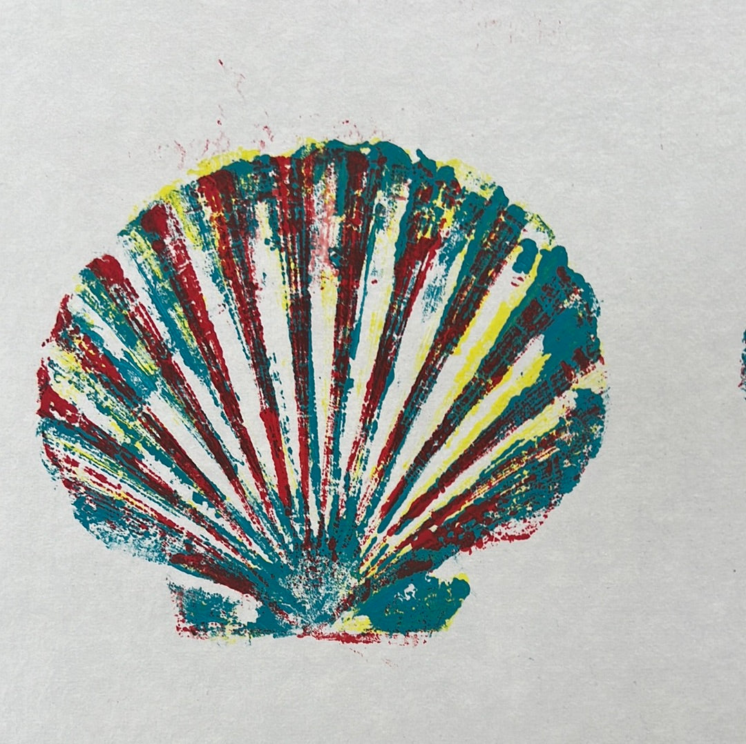 Large Scallop Shell Gyotaku with Multicoloured Layers