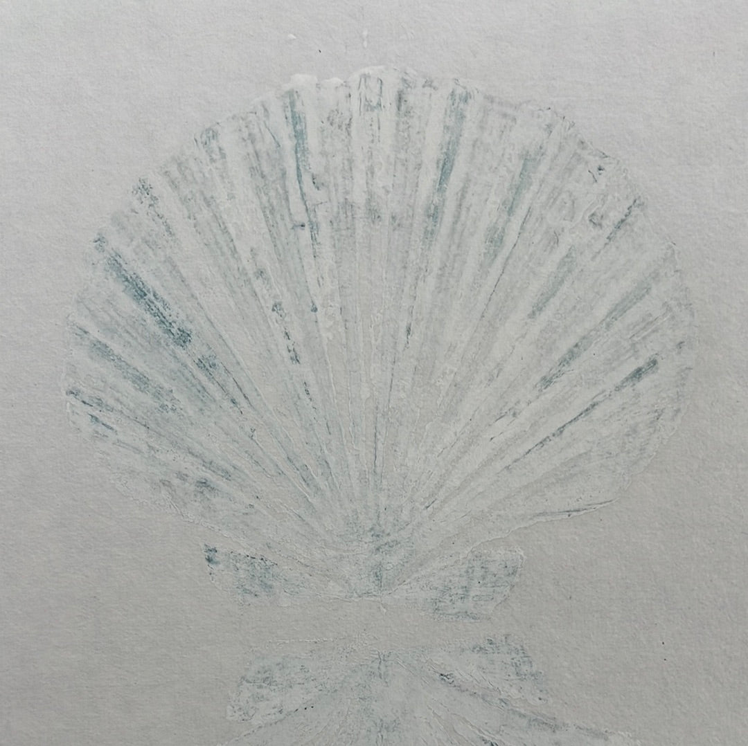 Scallop Shell Duo Gyotaku in White