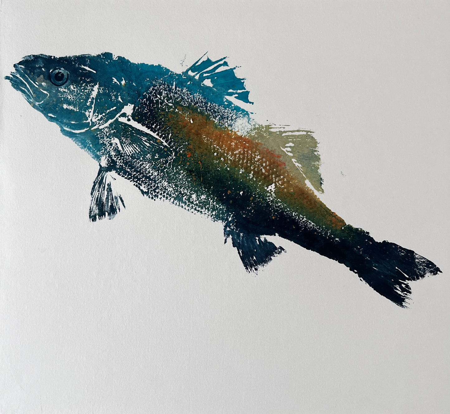 Anglesey Sea Bass Gyotaku