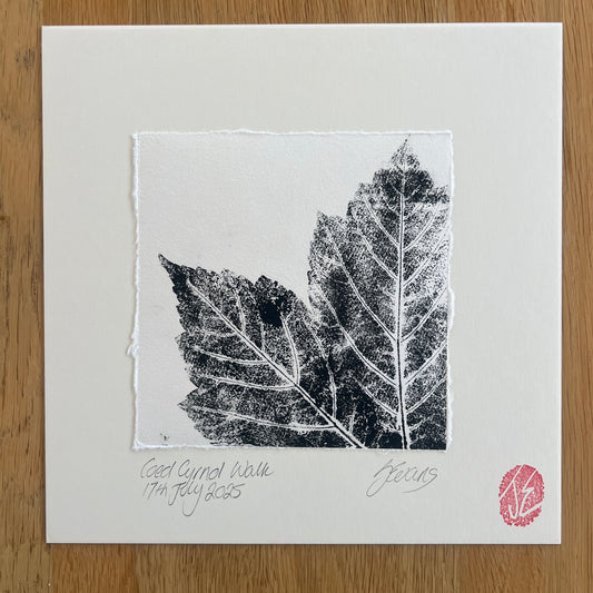 Coed Cyrnol Leaf Print – Black Ink on Thai Mulberry Paper