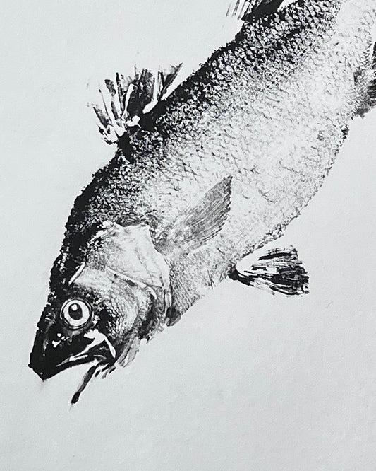 Anglesey Sea Bass Gyotaku Print using Sumi Ink