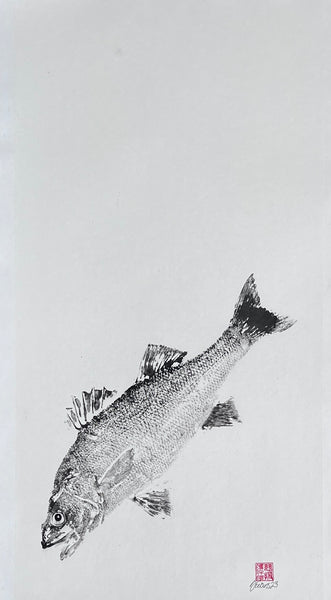 Anglesey Sea Bass Gyotaku Print using Sumi Ink