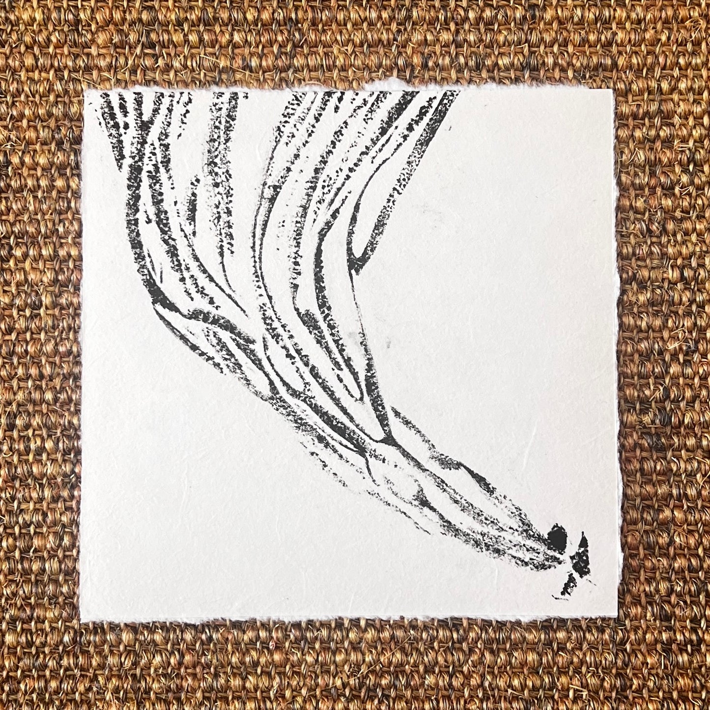Sea Spaghetti