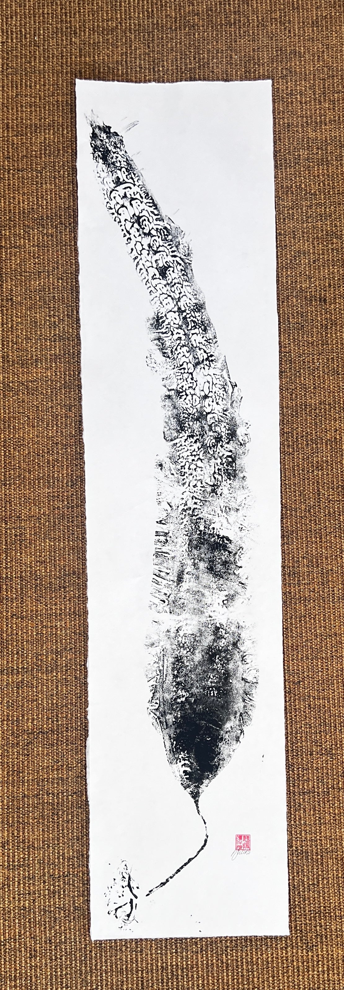 Sugar Kelp
