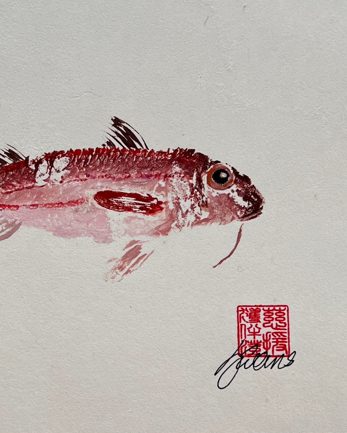 eh up Coch, Gyotaku of a small Red Mullet from the waters of North Wales