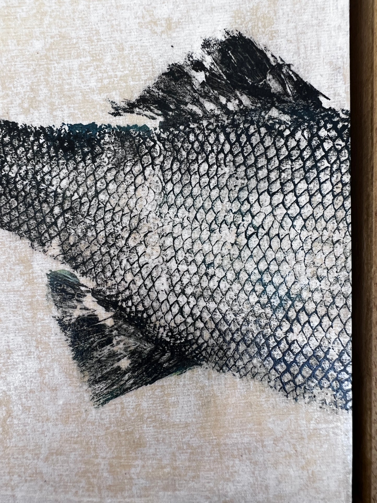 Anglesey Sea Bass Diptych Gyotaku Print