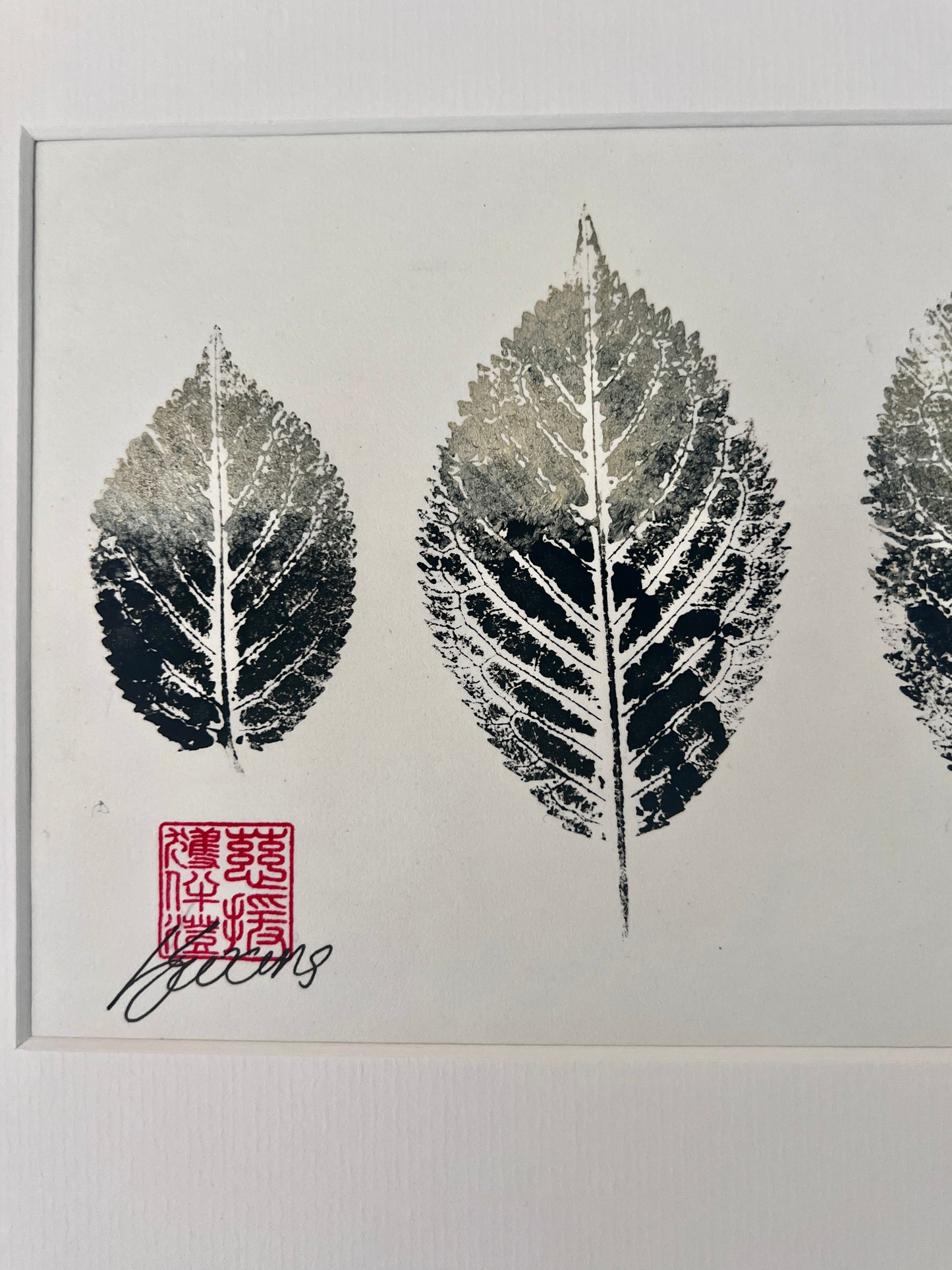 Gyotaku of Ash Leaves