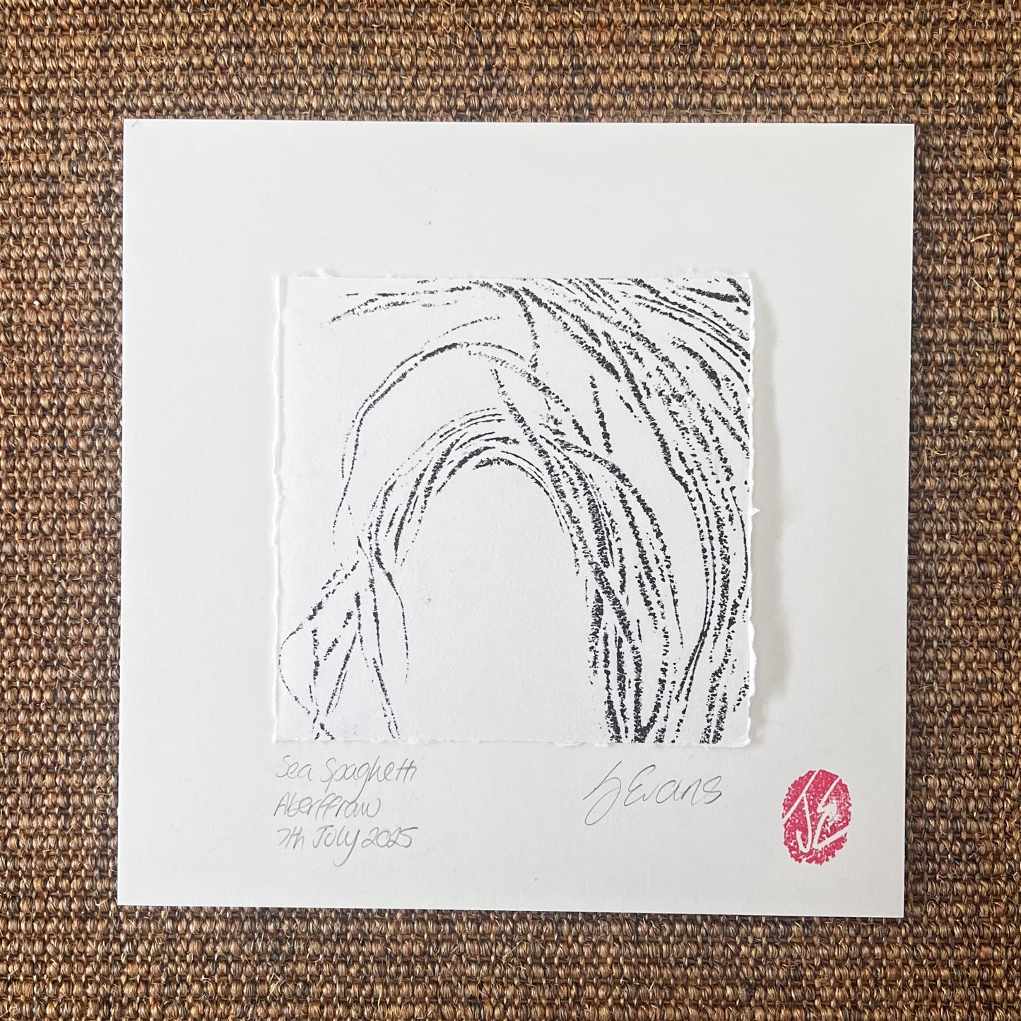 Sea Spaghetti