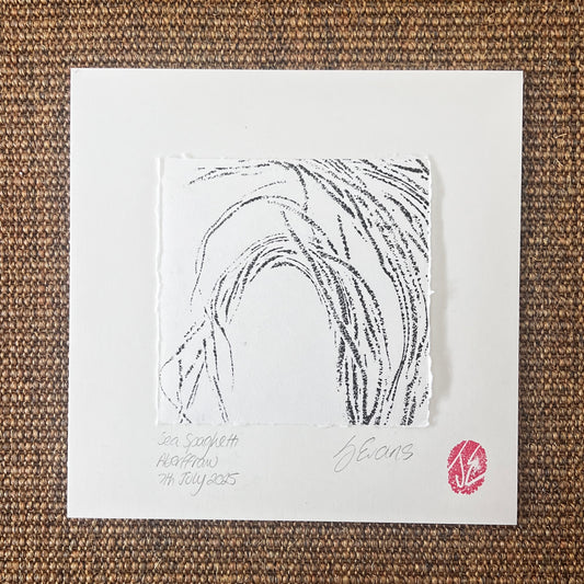 Sea Spaghetti