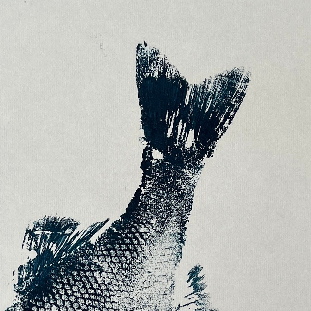 Menai Strait Line Caught Sea Bass Gyotaku.