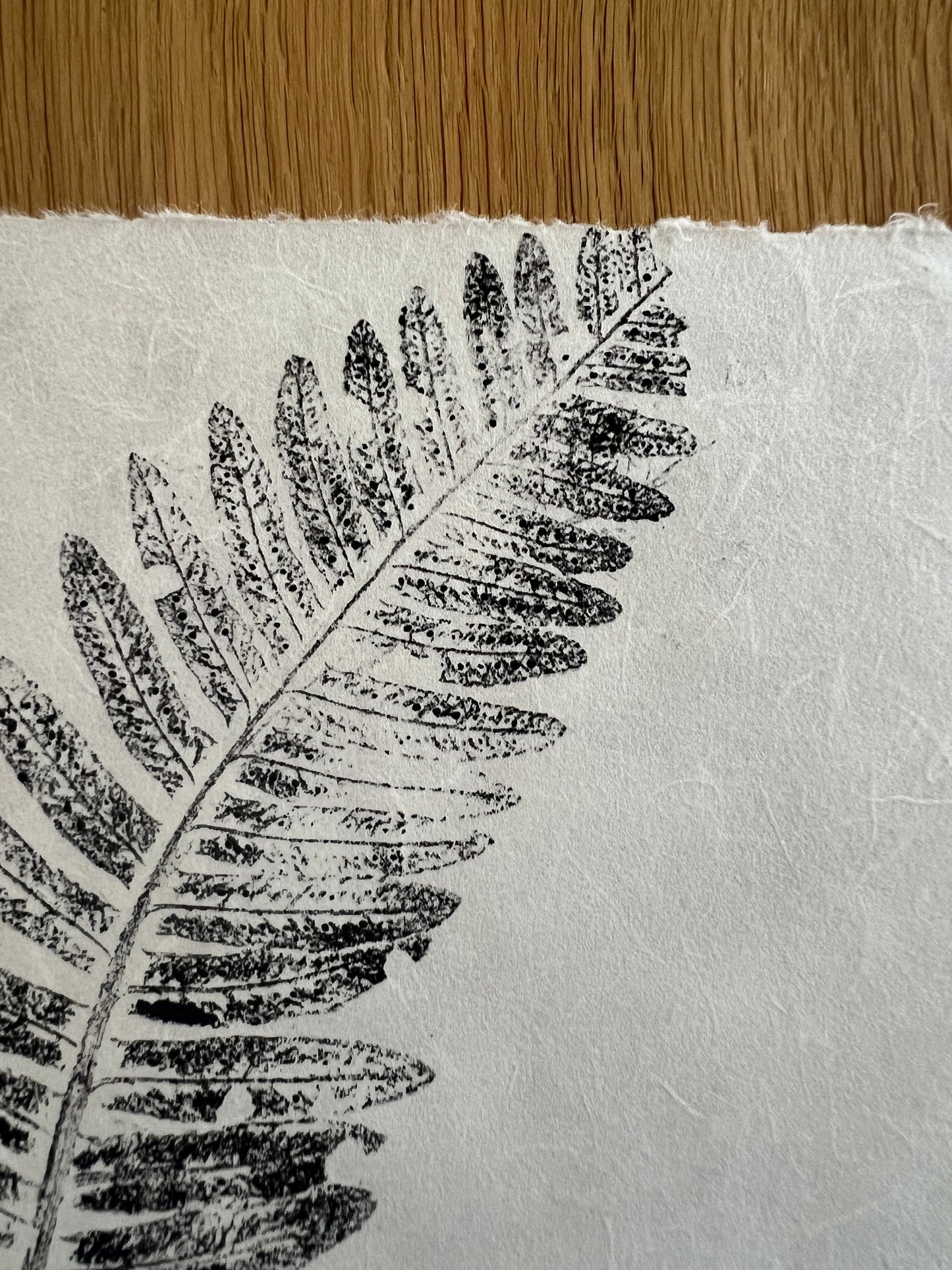 Fern Mini Print – Black Ink on Thai Mulberry Paper