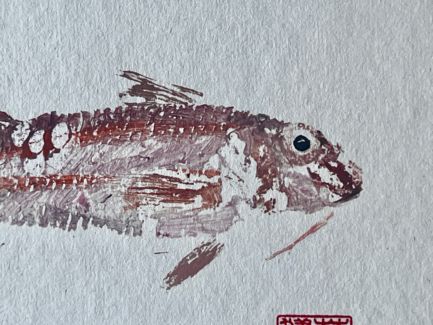 Gyotaku of a small Red Mullet from the waters of North Wales