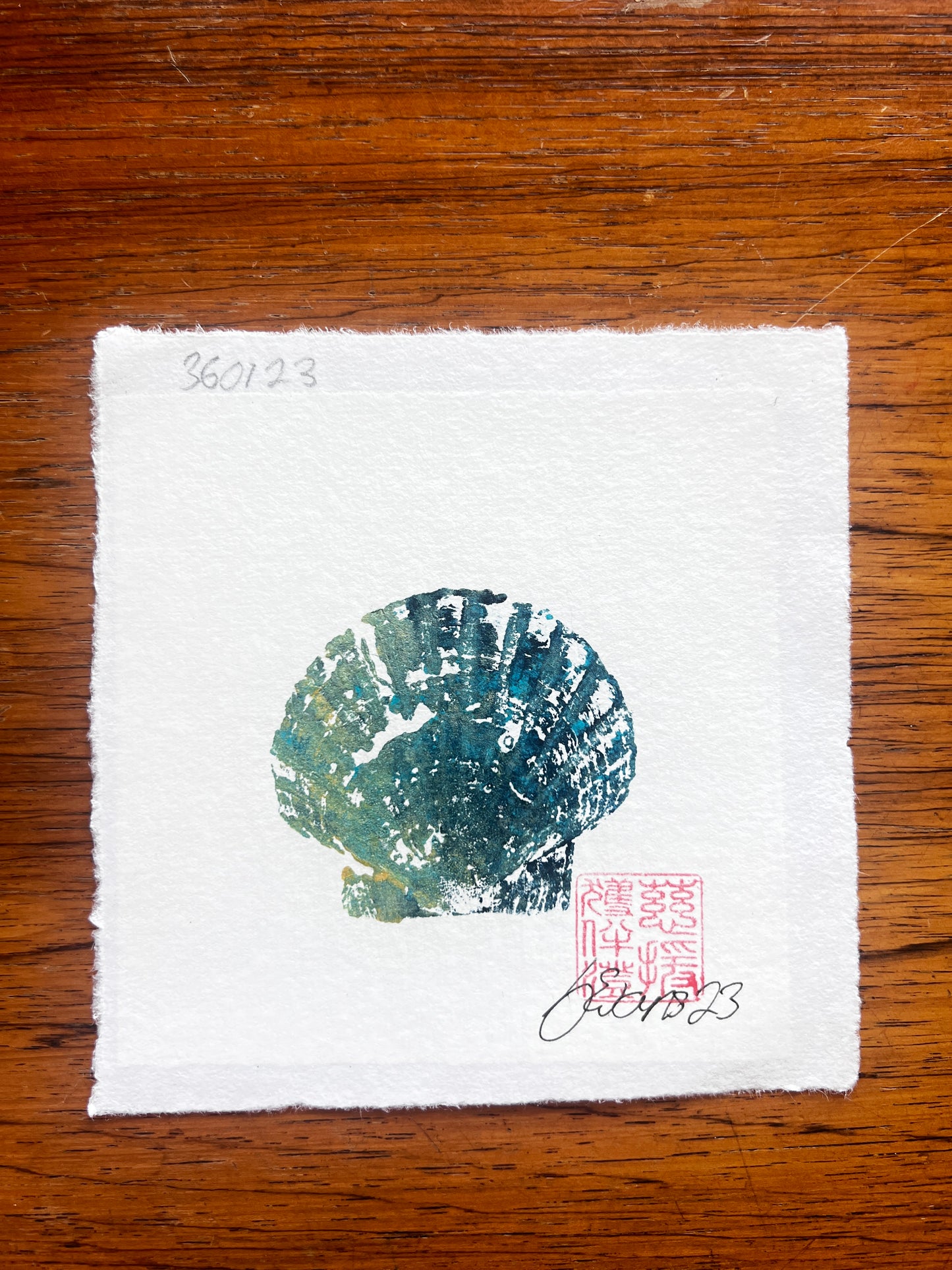 Mini Scallop Shell Gyotaku